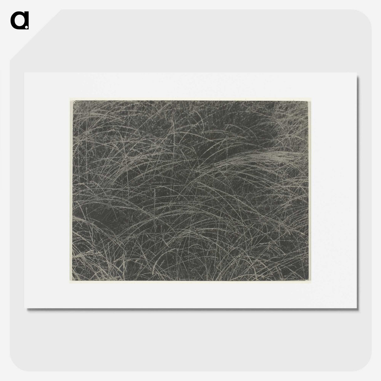 2-45_Alfred-Stieglitz_picture