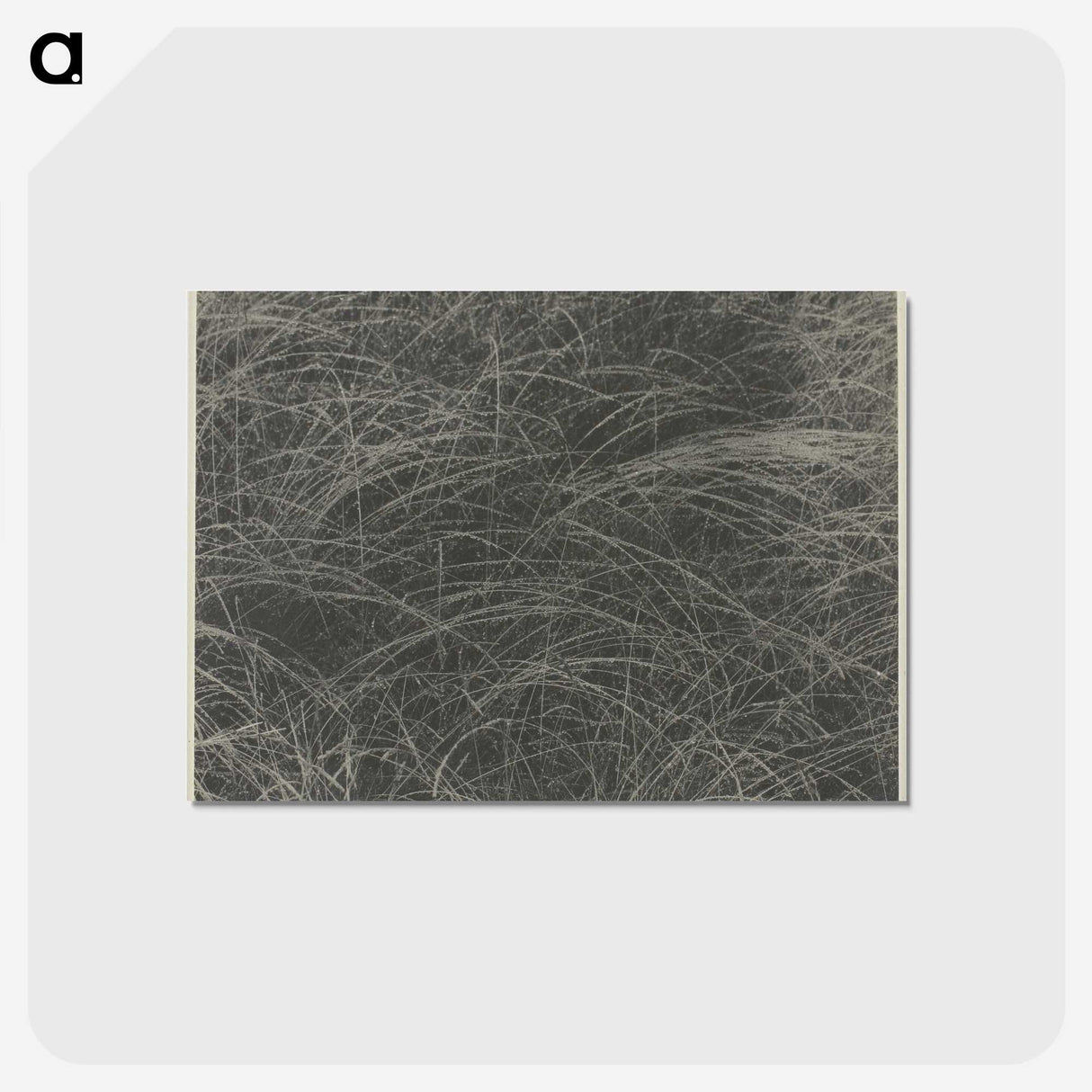 2-45_Alfred-Stieglitz_postcard