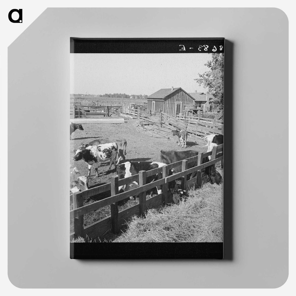 2-45_Dorothea-Lange_canvas