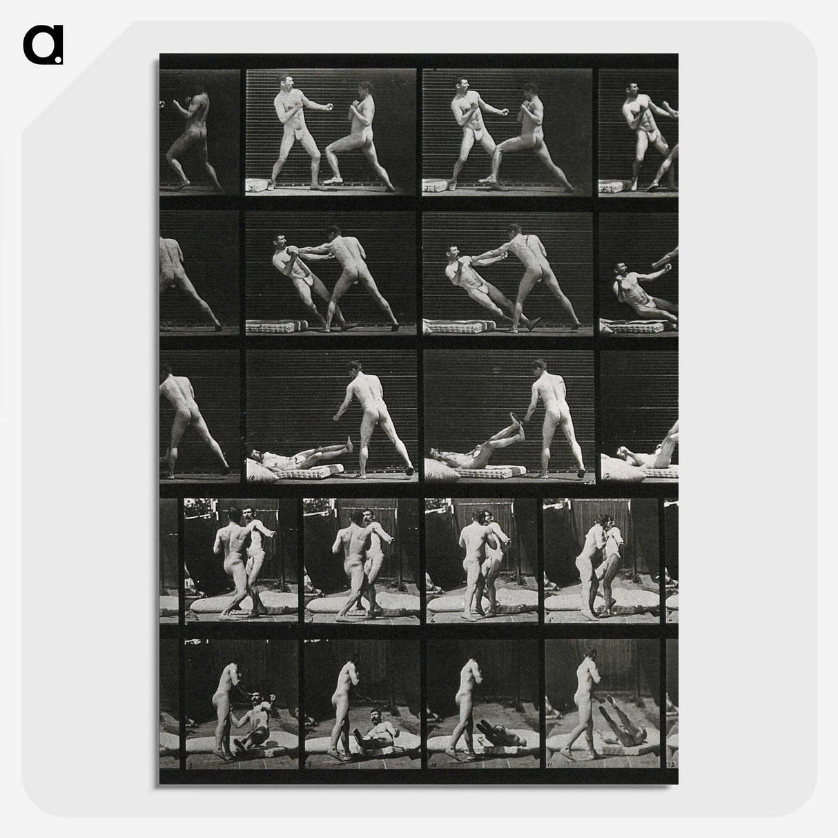 2-45_Eadweard-Muybridge_picture-crop