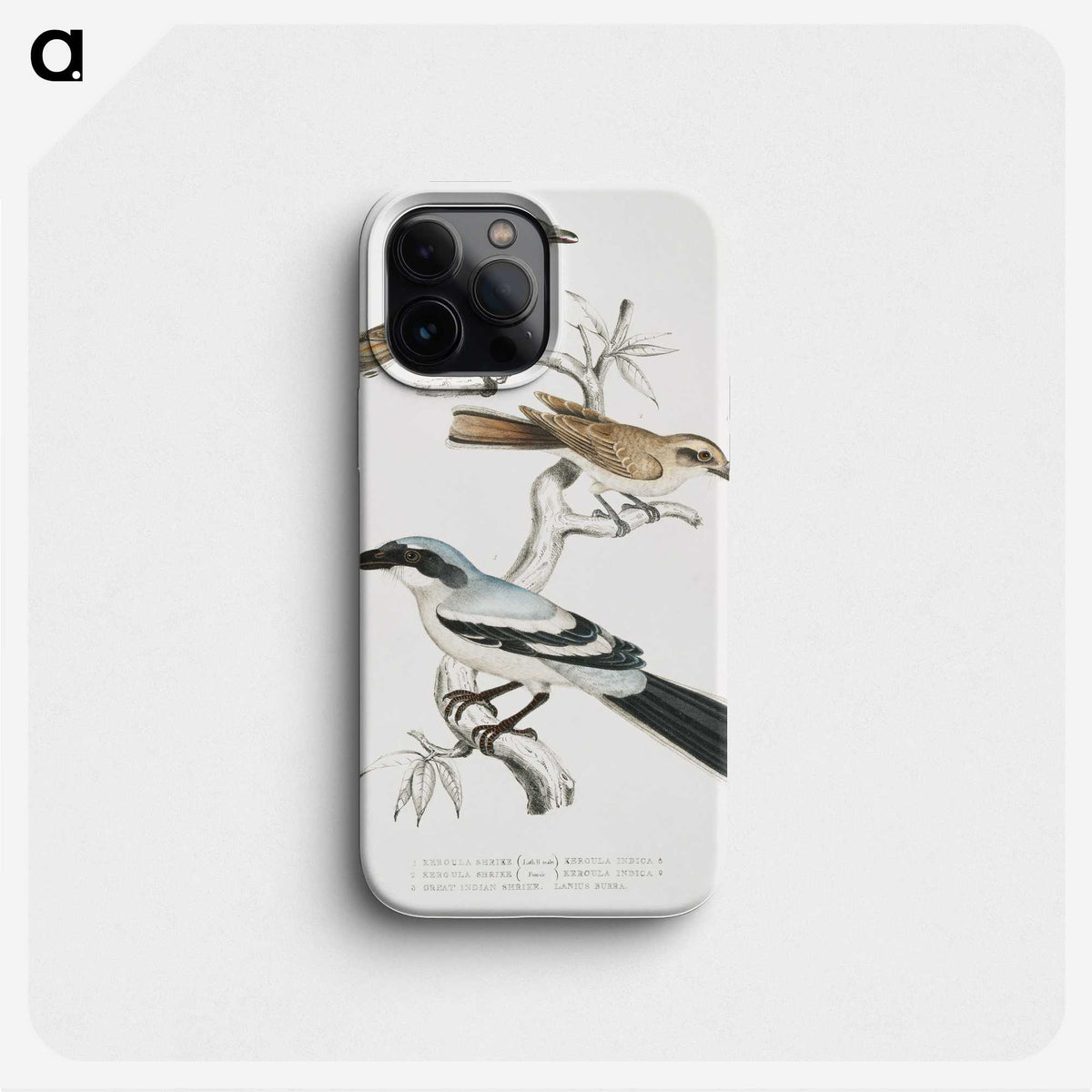 2-45_Indian-Zoology_phone