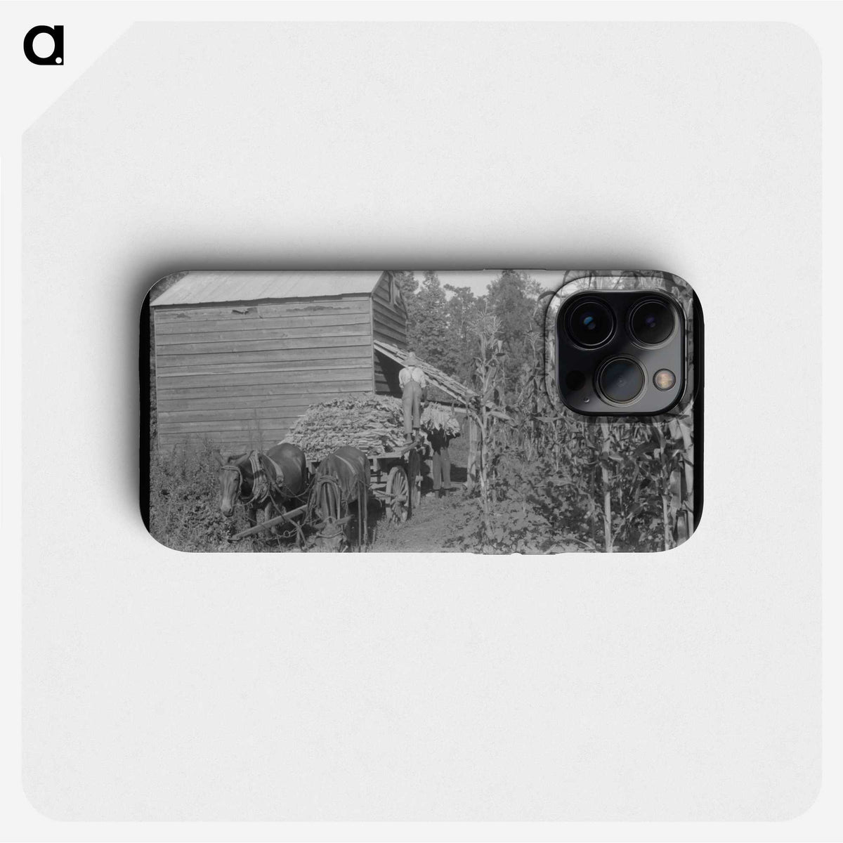2-45_Marion-Post-Wolcott_phone