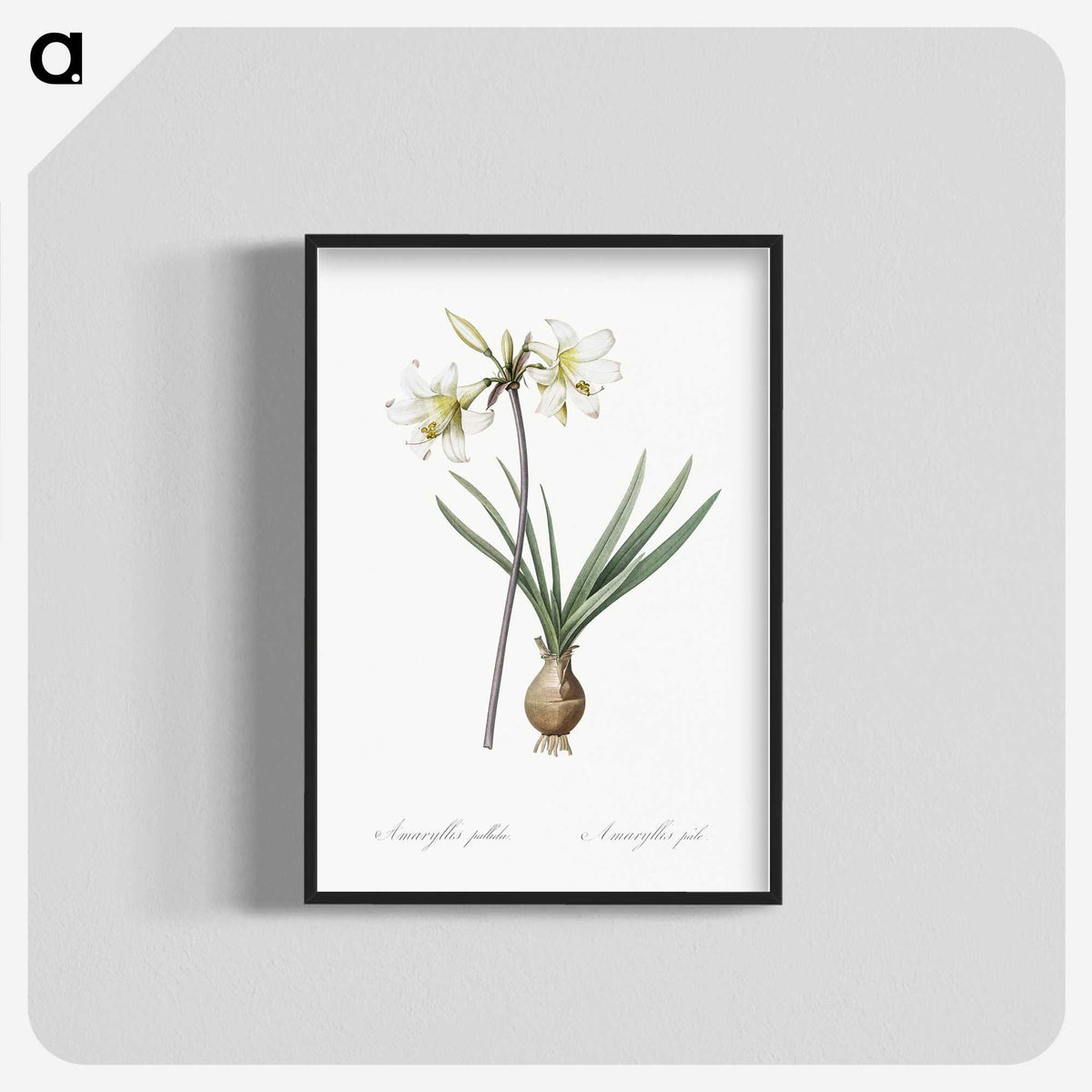 2-45_The-Lilies_blk-crop