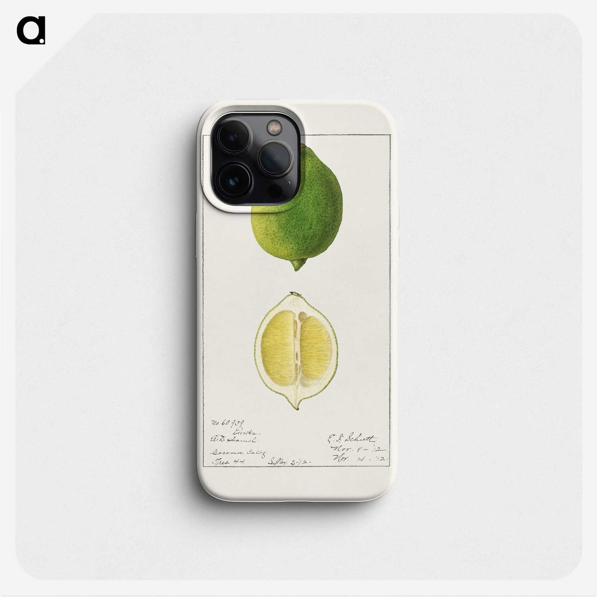 2-45_USDA-Watercolor-Fruit-Painting-Collection_phone