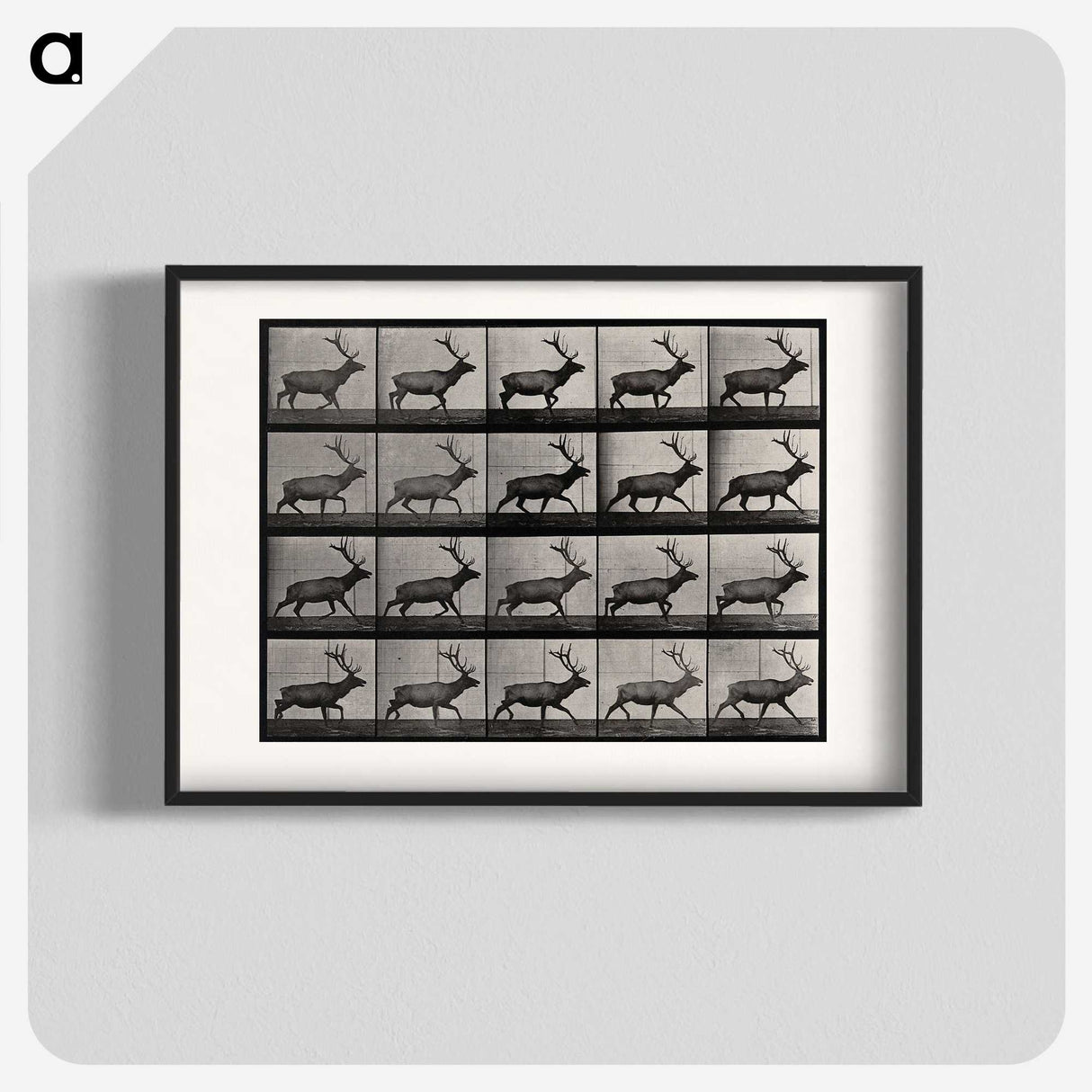 2-46_Eadweard-Muybridge_blk
