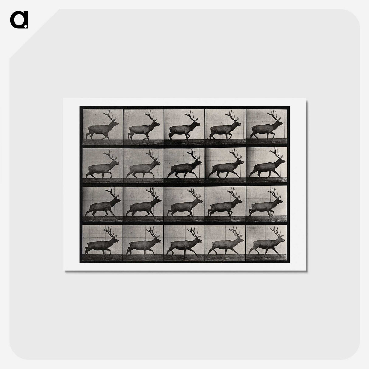 2-46_Eadweard-Muybridge_hagaki