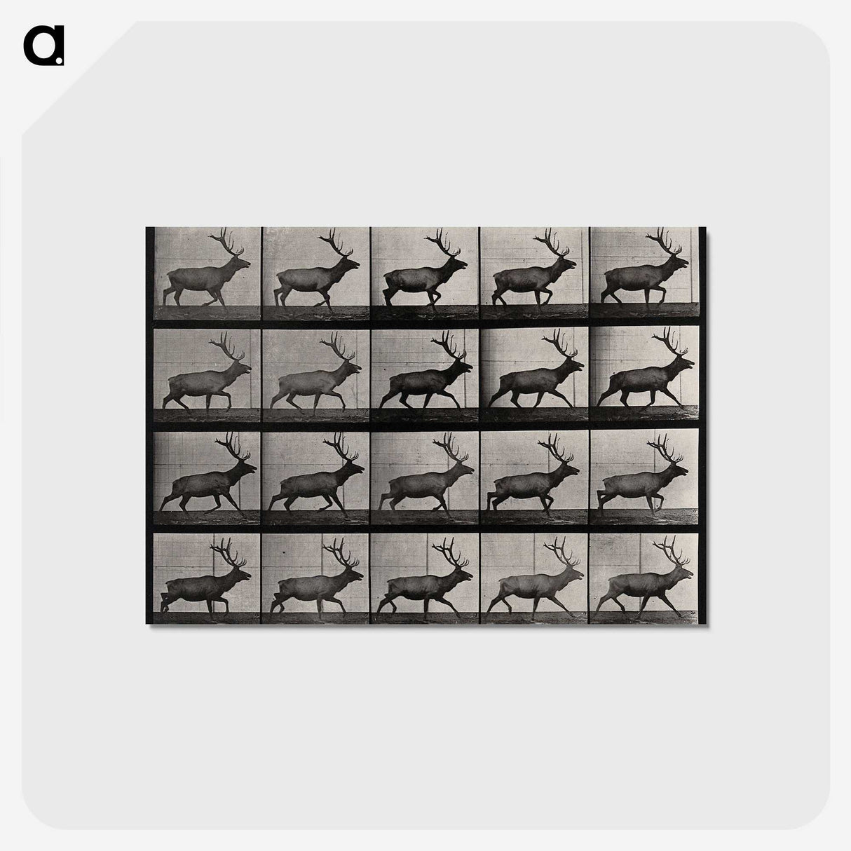 2-46_Eadweard-Muybridge_postcard