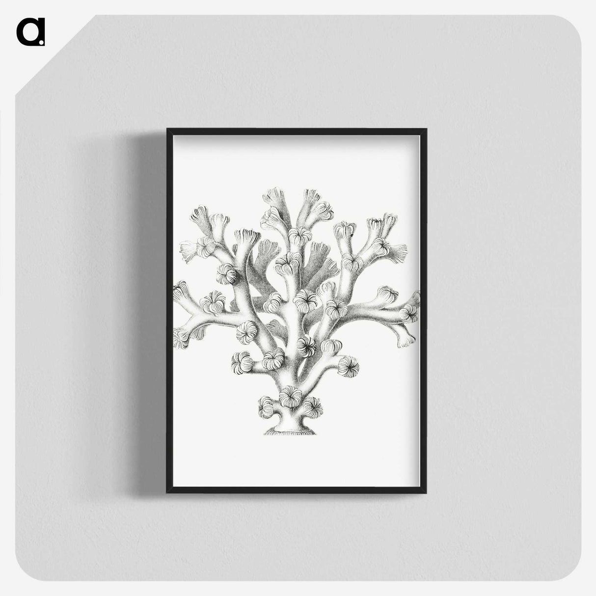 2-46_Ernst-Haeckel_blk-crop