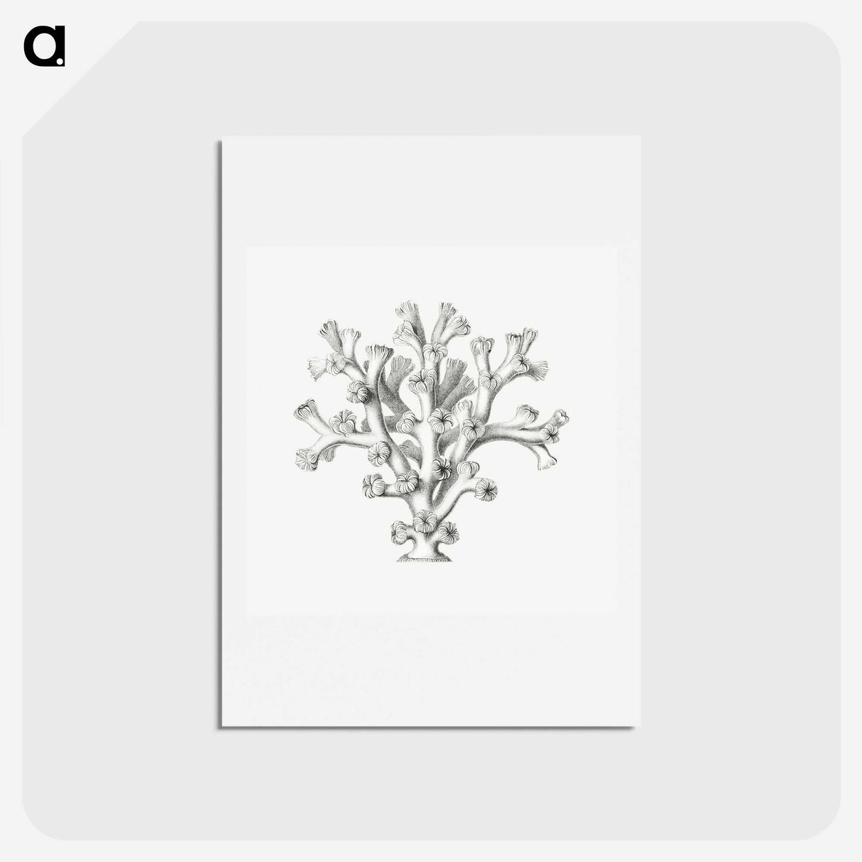 2-46_Ernst-Haeckel_hagaki