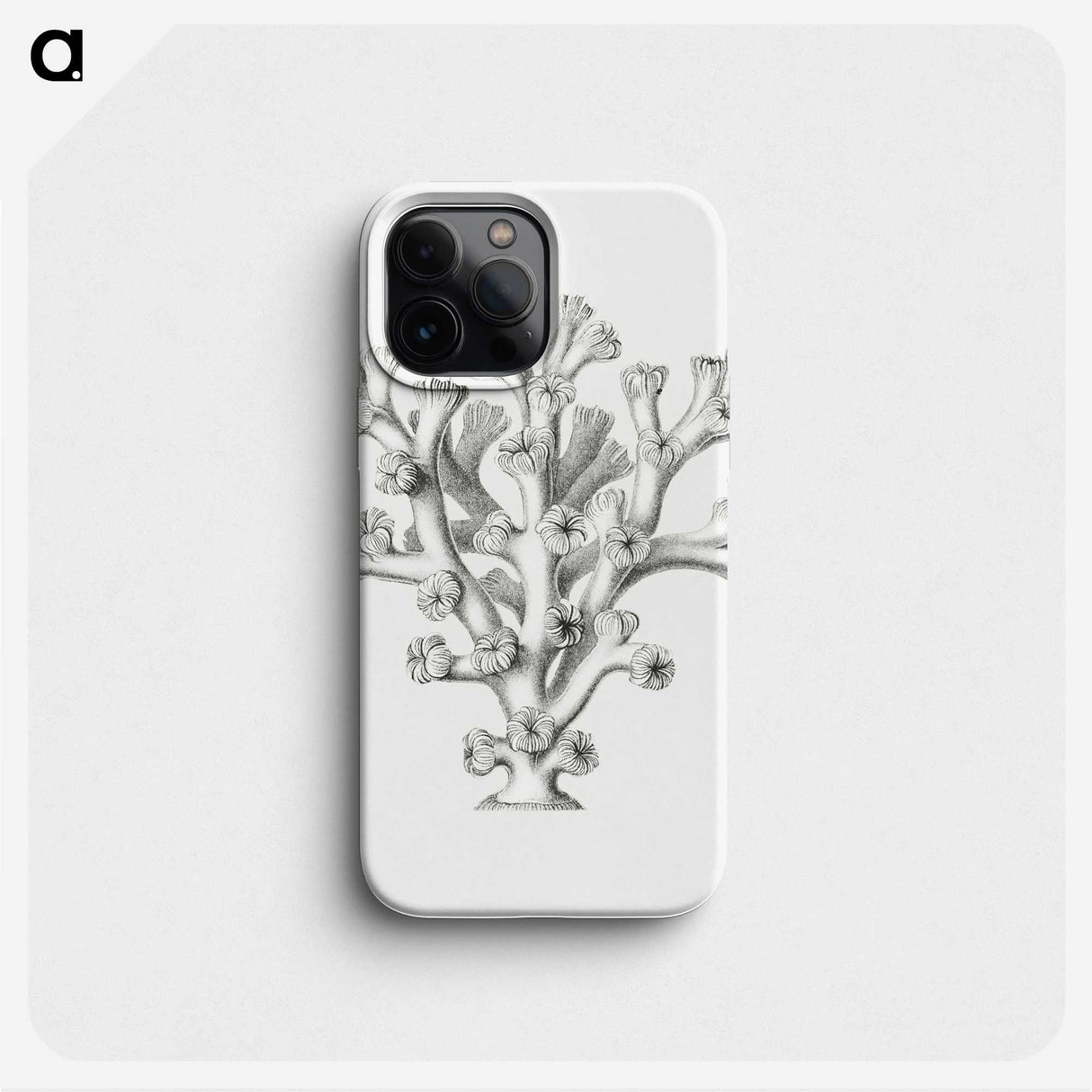 2-46_Ernst-Haeckel_phone