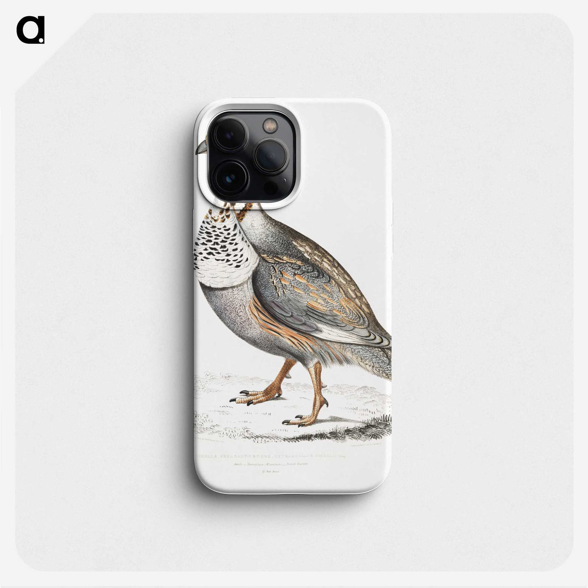 2-46_Indian-Zoology_phone