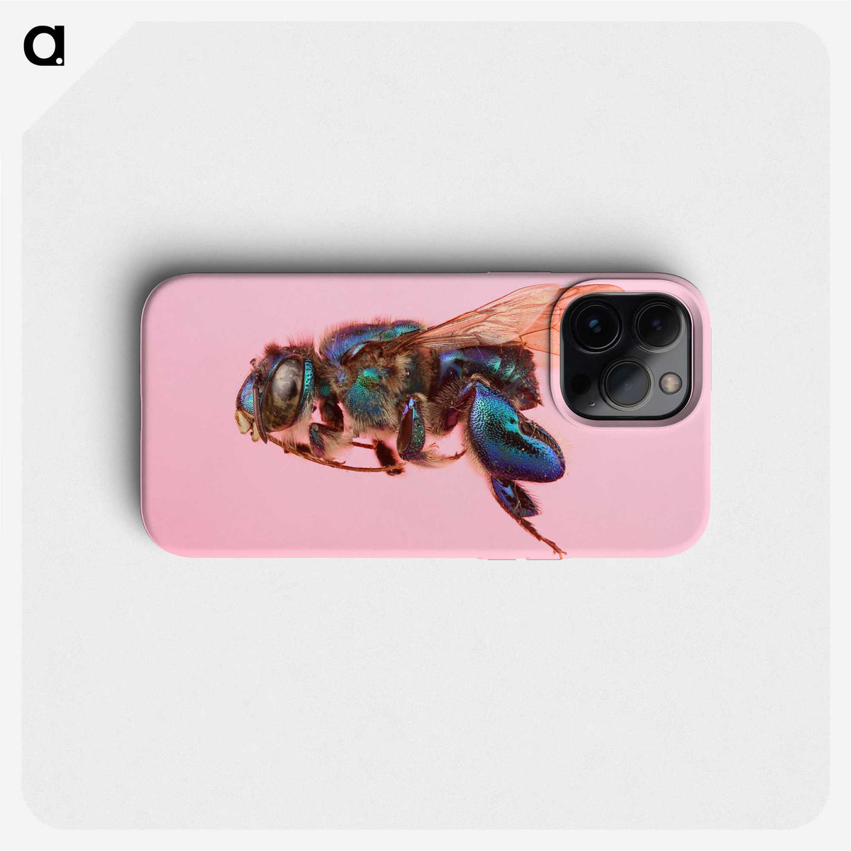 2-46_Insects-Unlocked-Project_phone