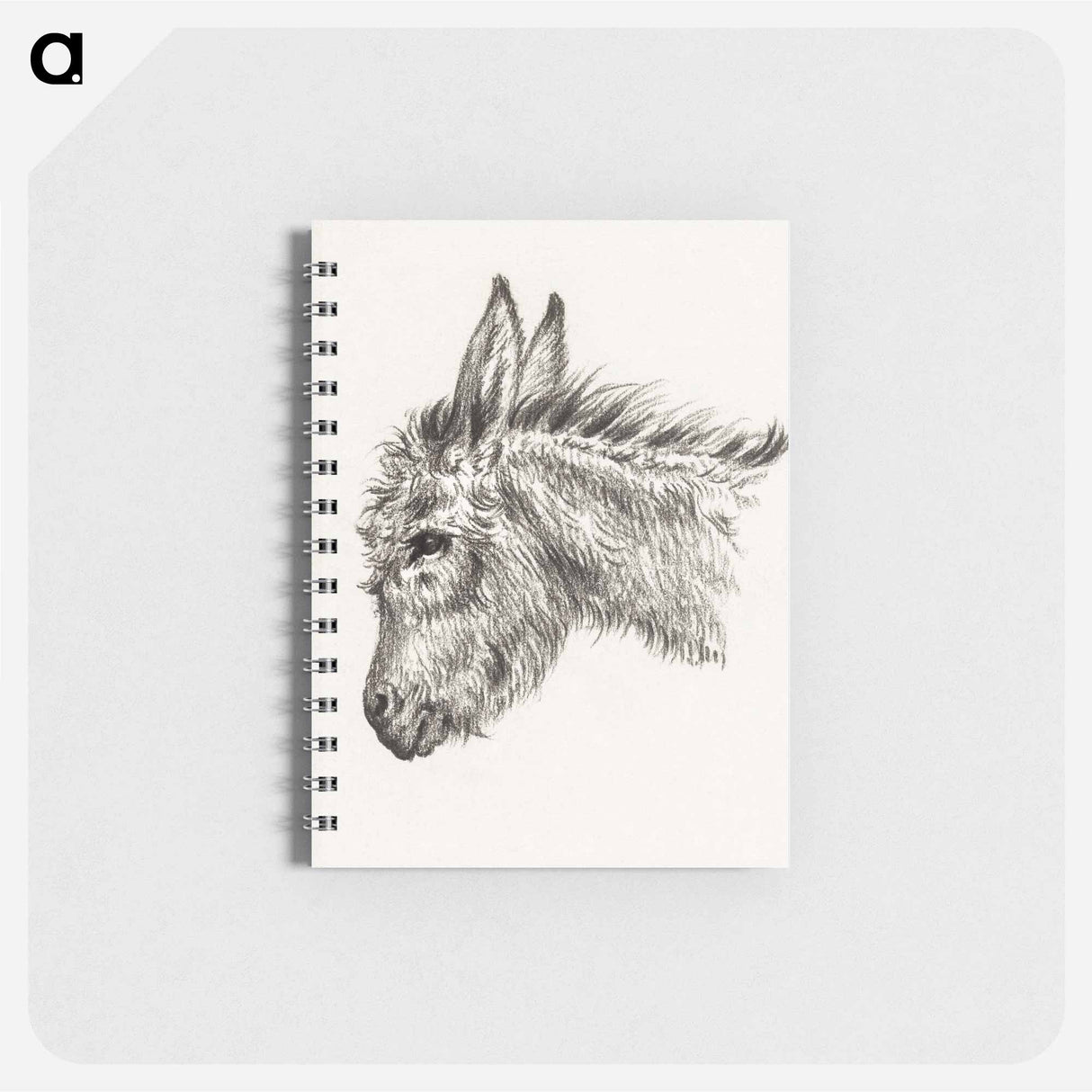 Head of a donkey - ジャン ベルナール Memo.