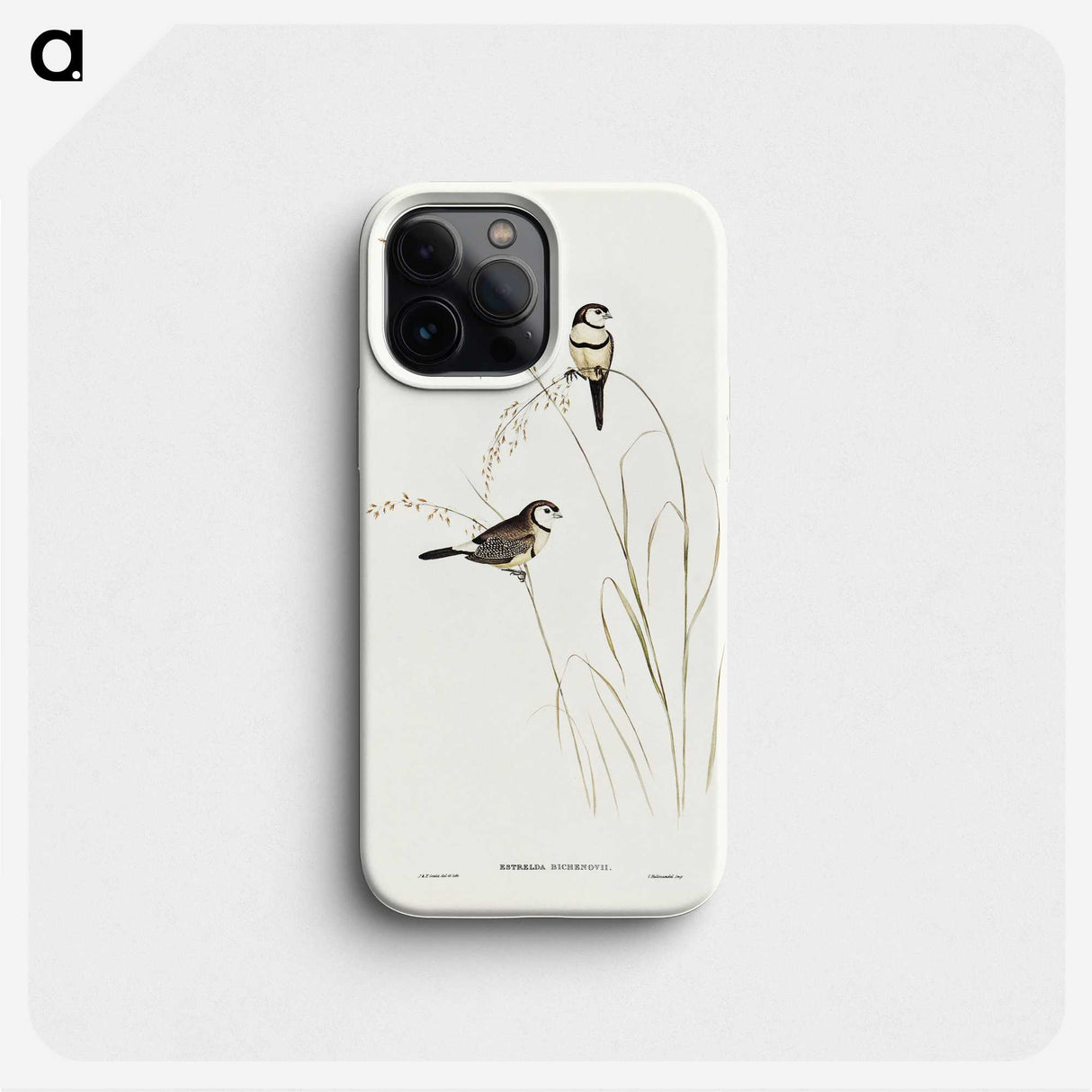 2-46_John-Gould_phone