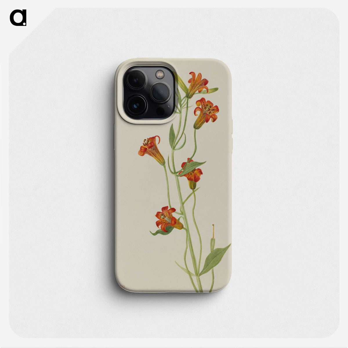 2-46_Mary-Vaux-Walcott_phone