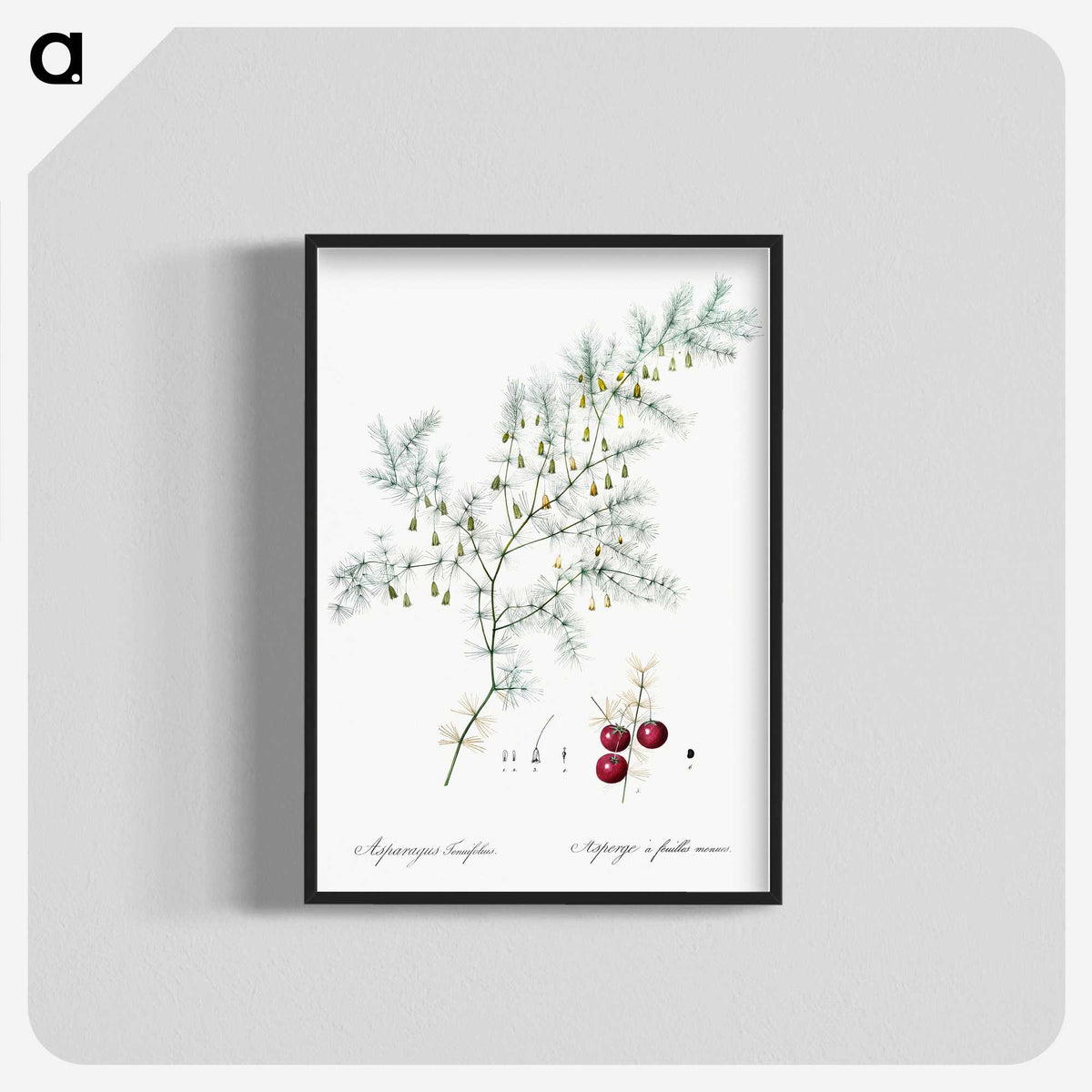 2-46_The-Lilies_blk-crop