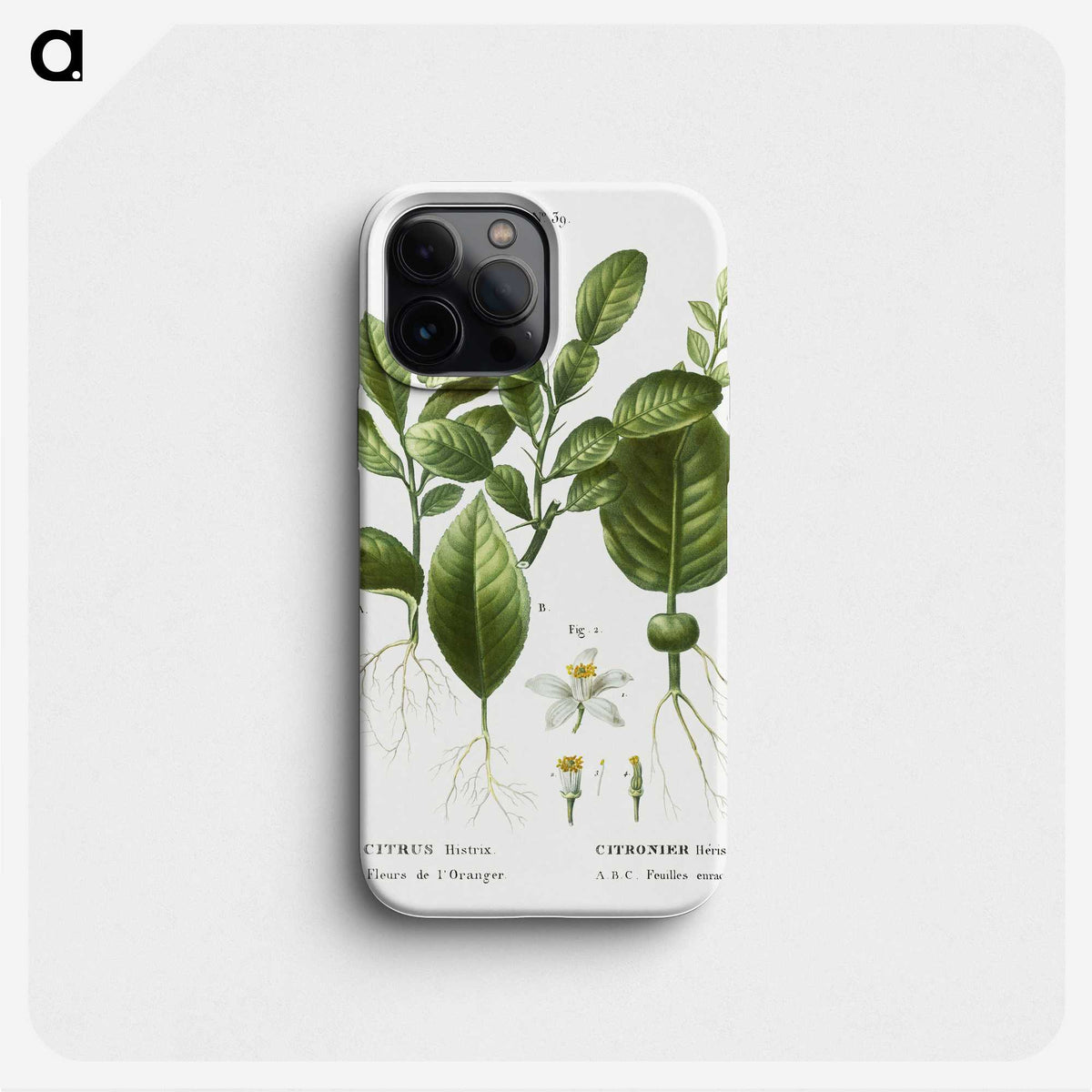 2-46_Treatise-on-Trees-and-Shrubs_phone