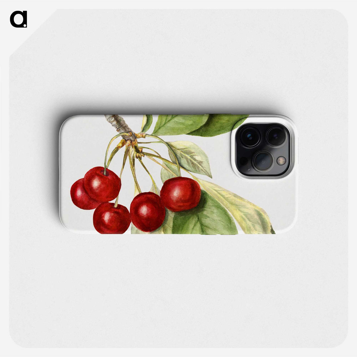 2-46_USDA-Watercolor-Fruit-Painting-Collection_phone