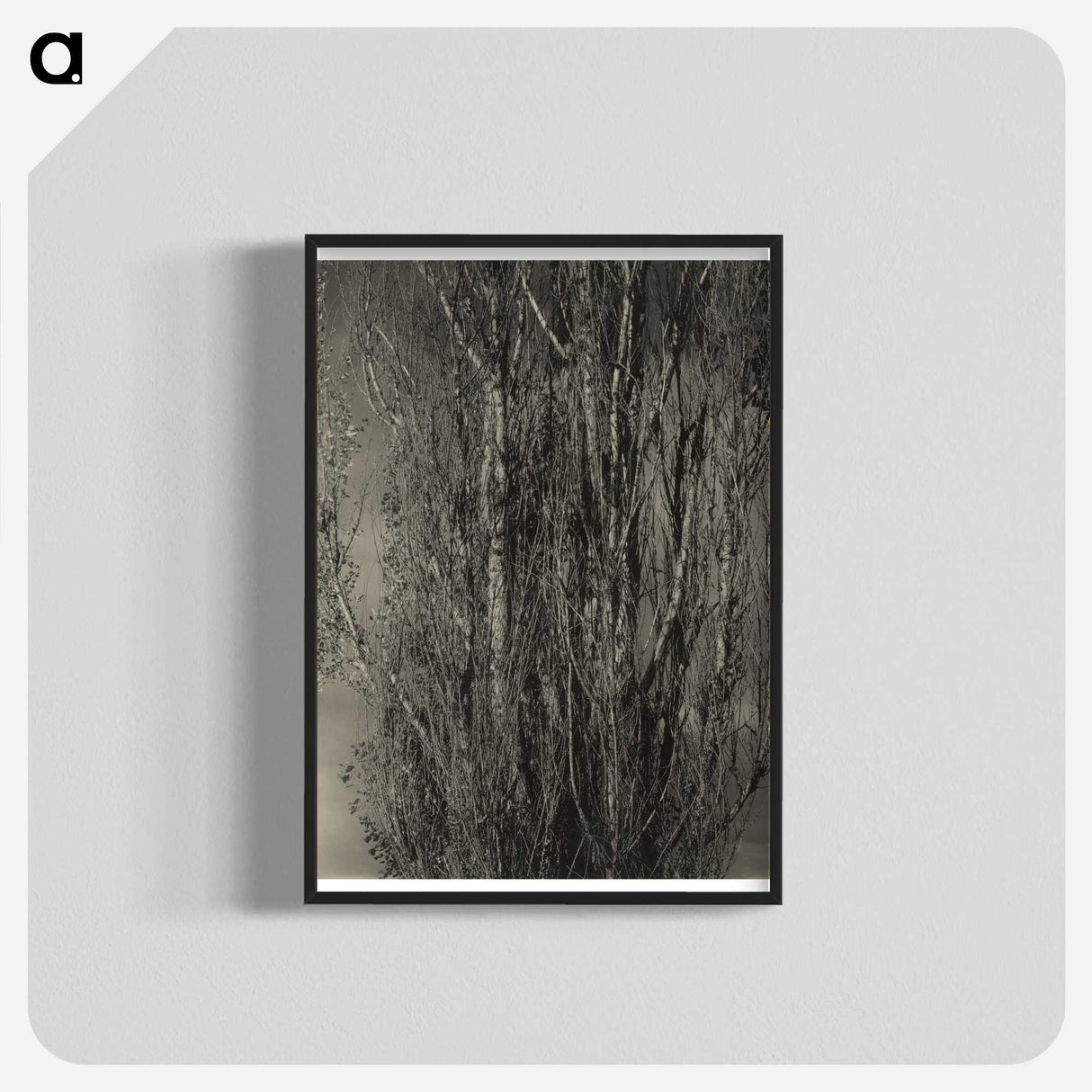2-47_Alfred-Stieglitz_blk-crop