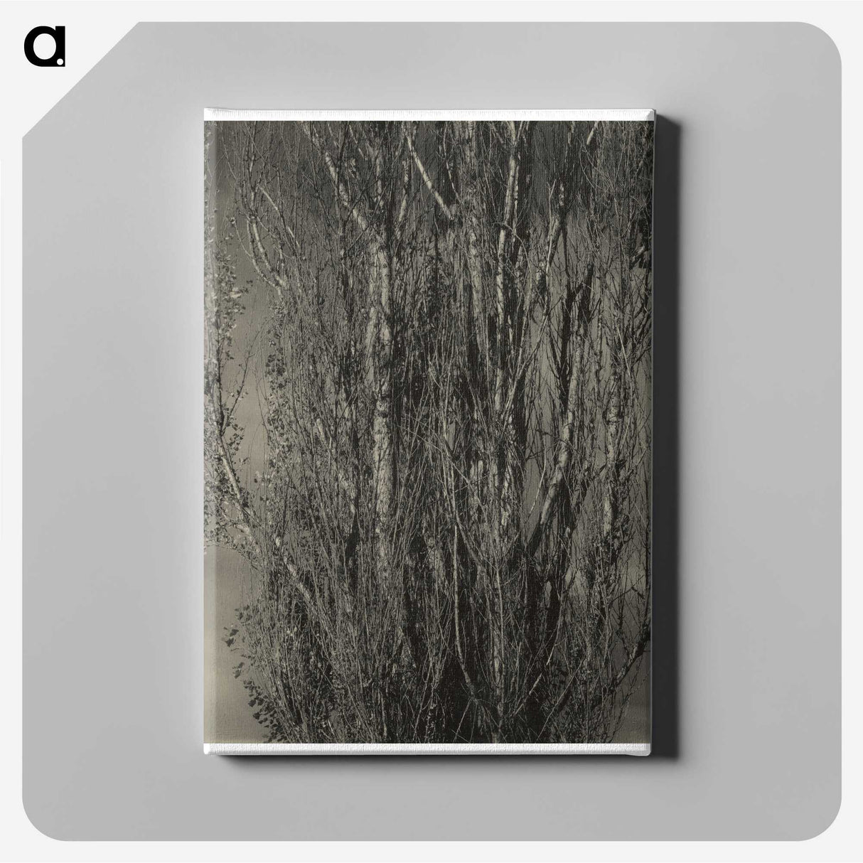 2-47_Alfred-Stieglitz_canvas