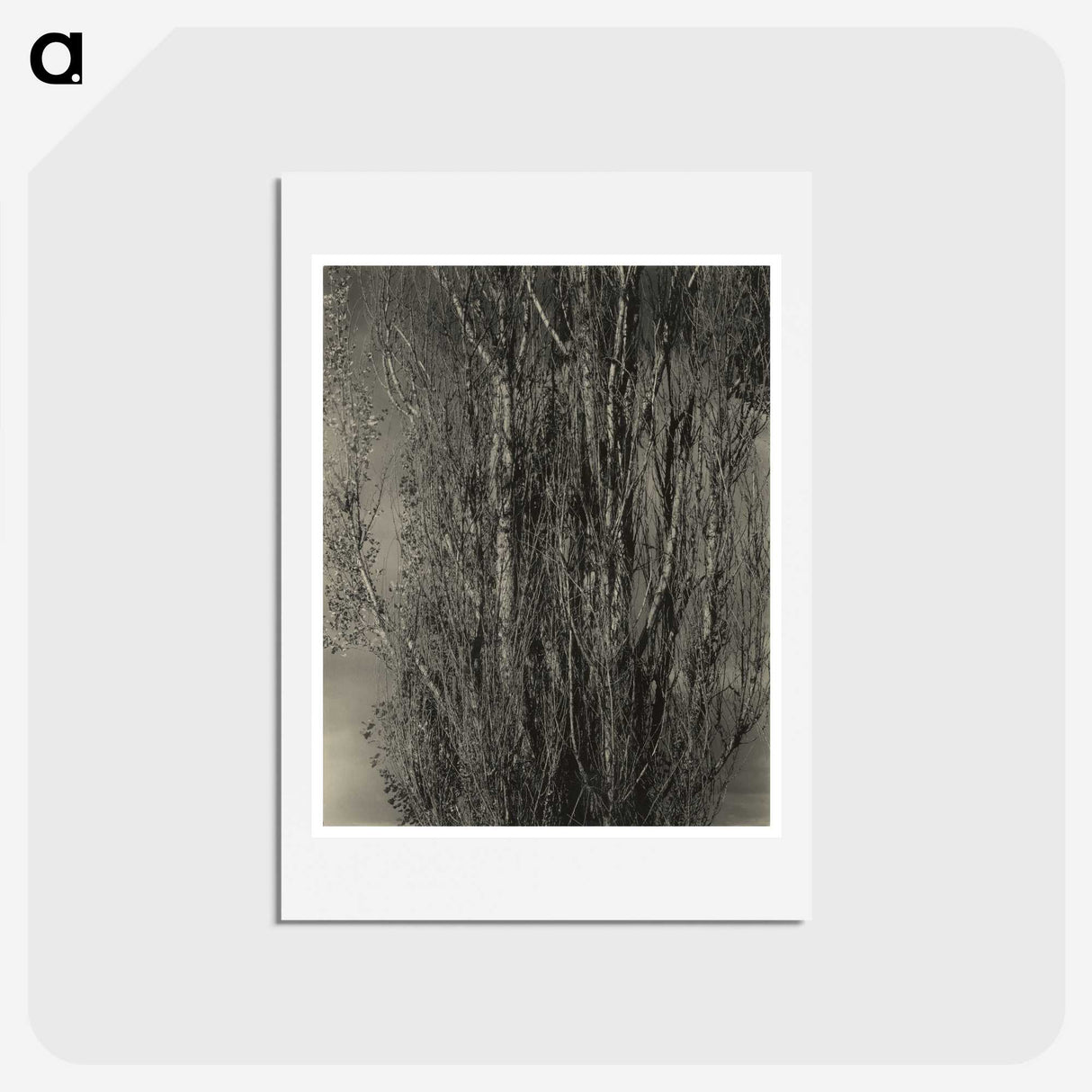 2-47_Alfred-Stieglitz_hagaki