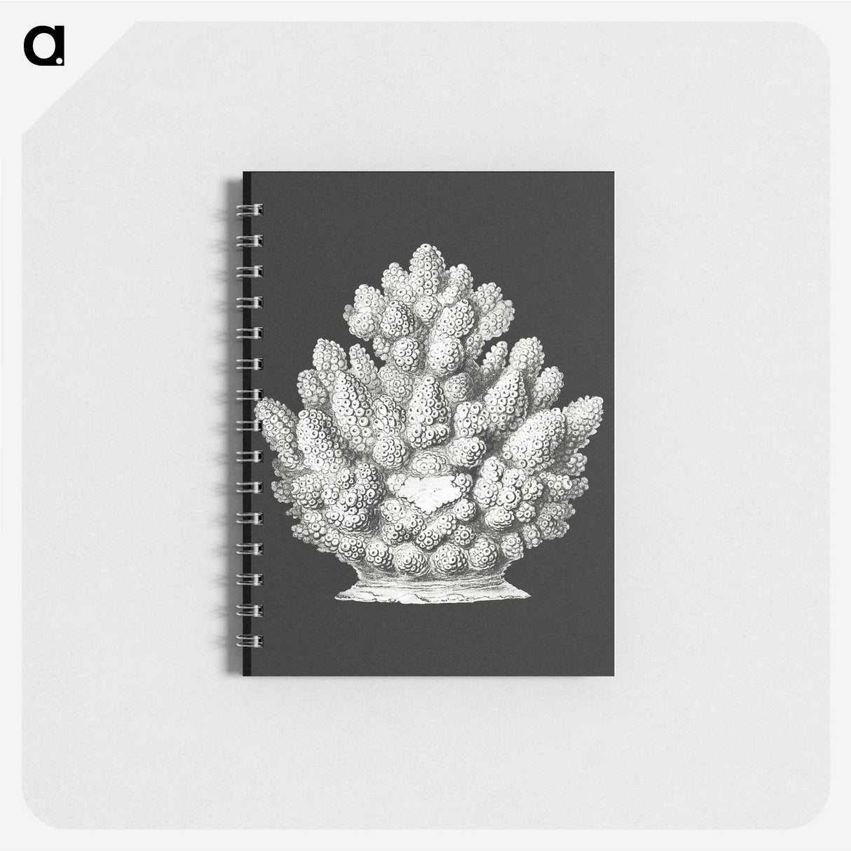 2-47_Ernst-Haeckel_memo