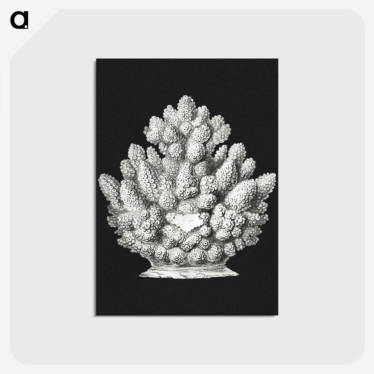 2-47_Ernst-Haeckel_postcard