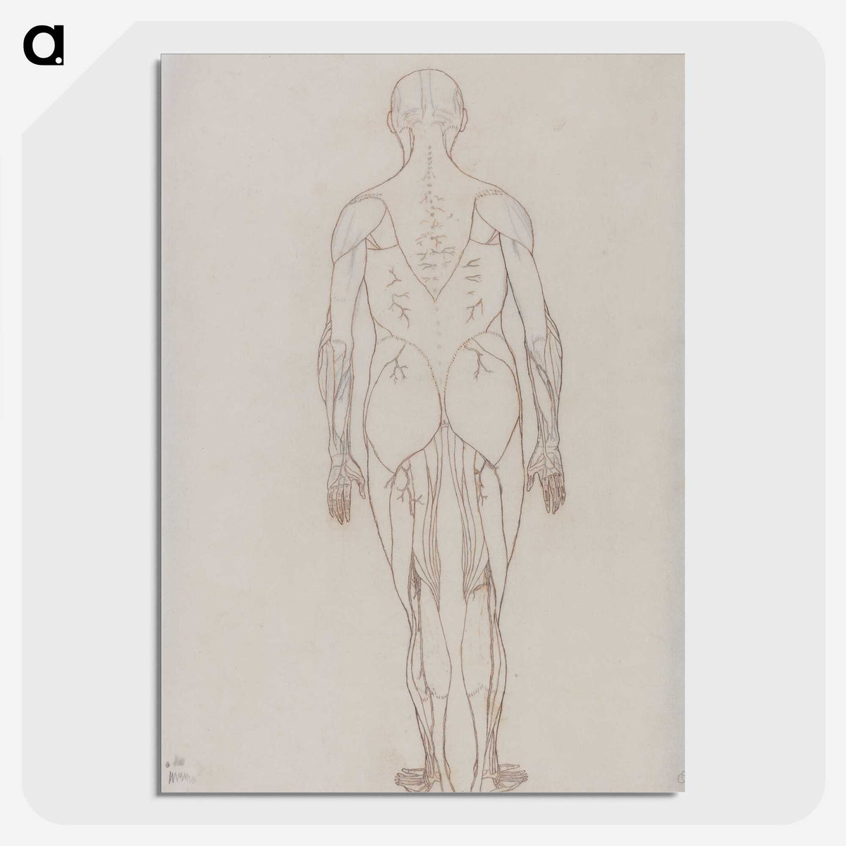2-47_George-Stubbs_picture-crop