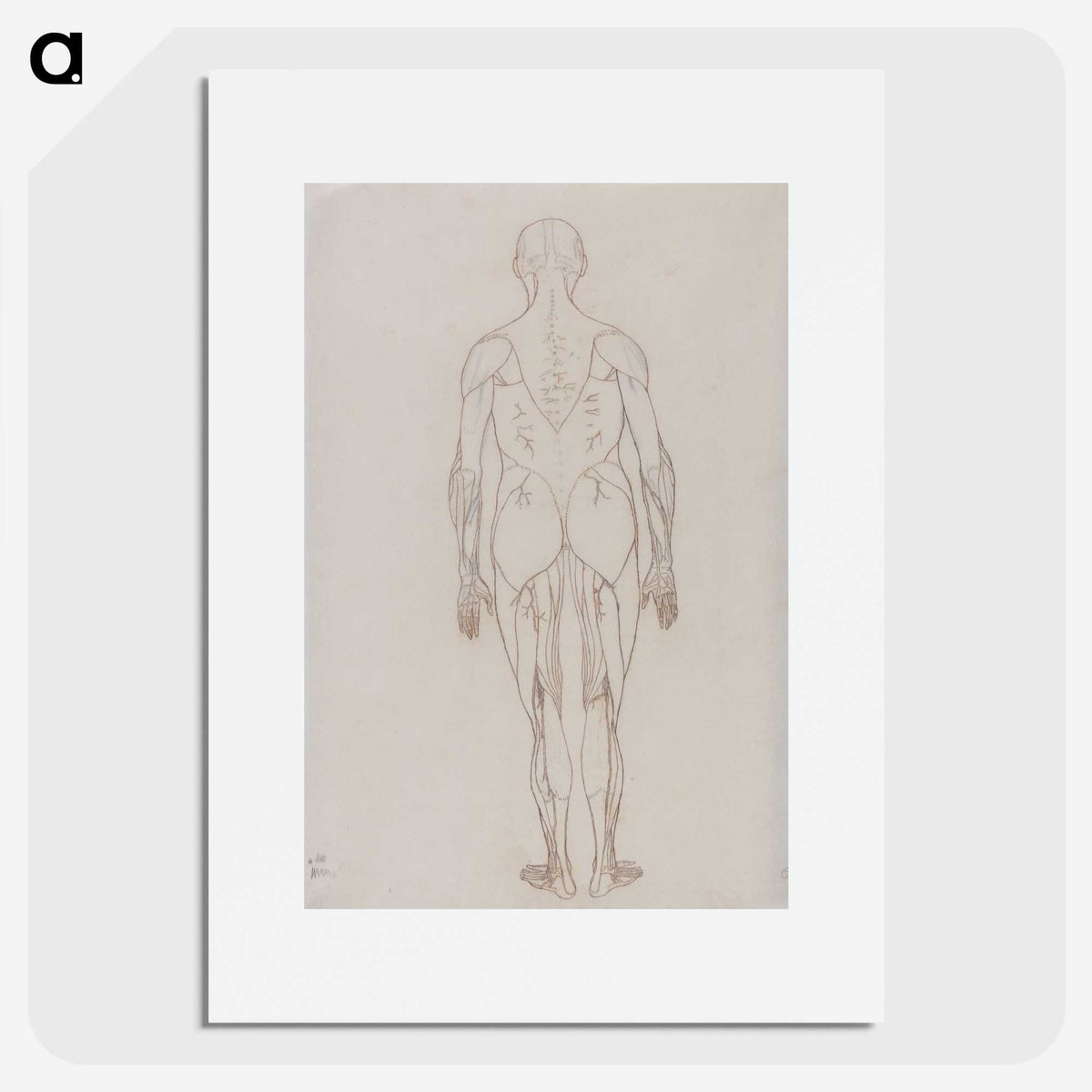 2-47_George-Stubbs_picture
