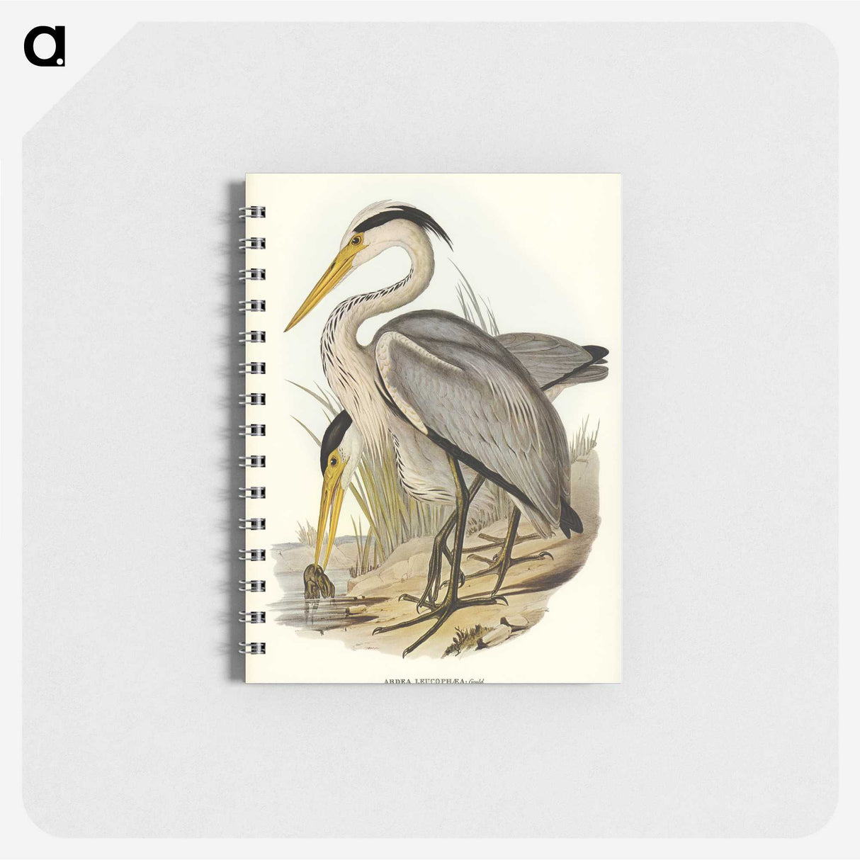 2-47_John-Gould_memo