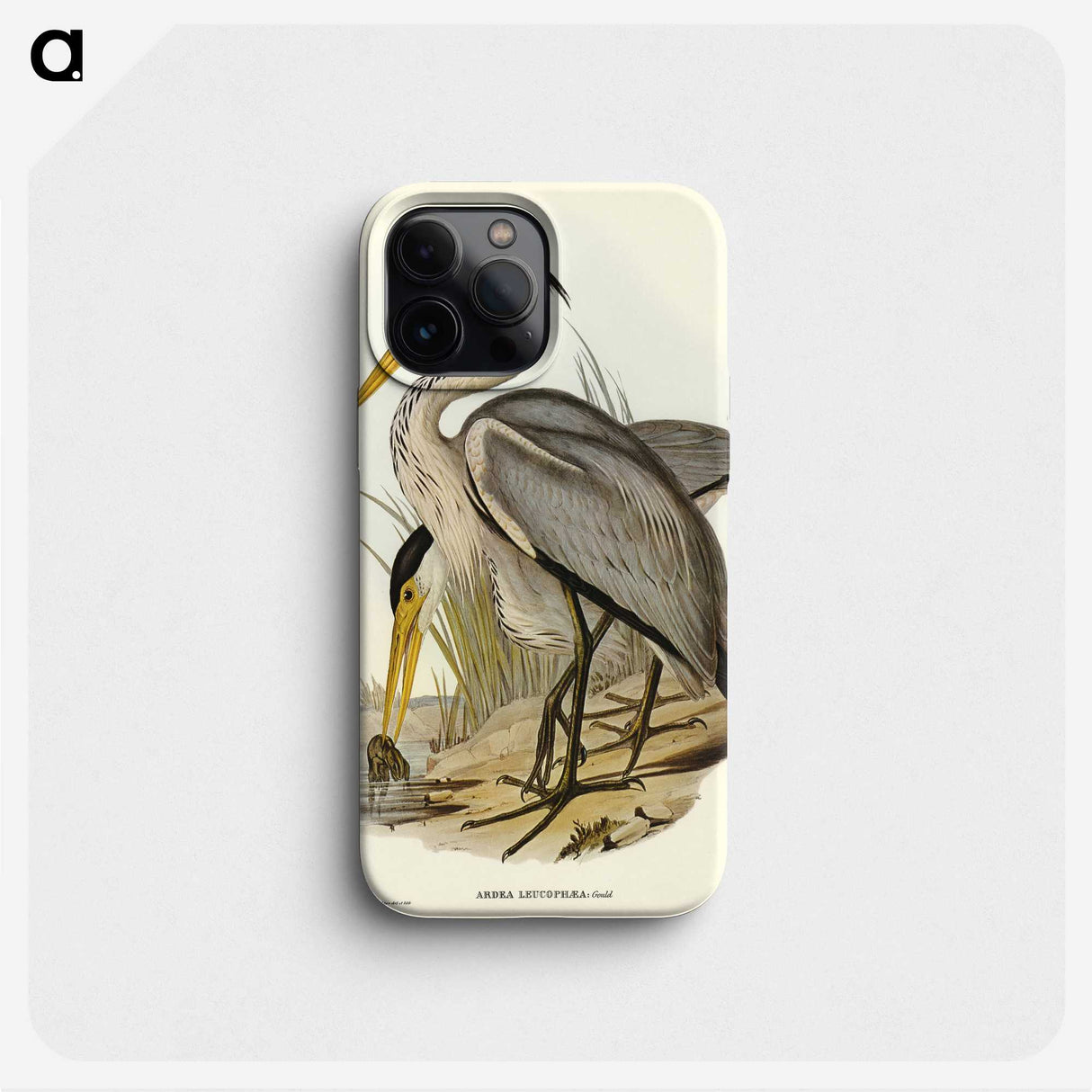 2-47_John-Gould_phone