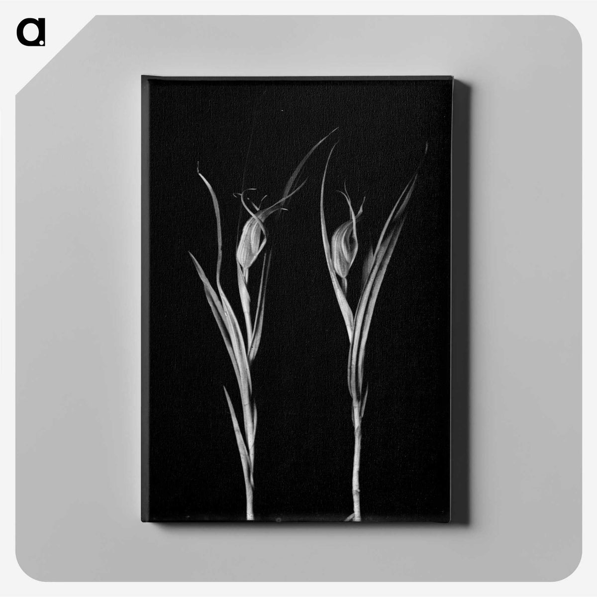 2-47_Leslie-Adkin_canvas