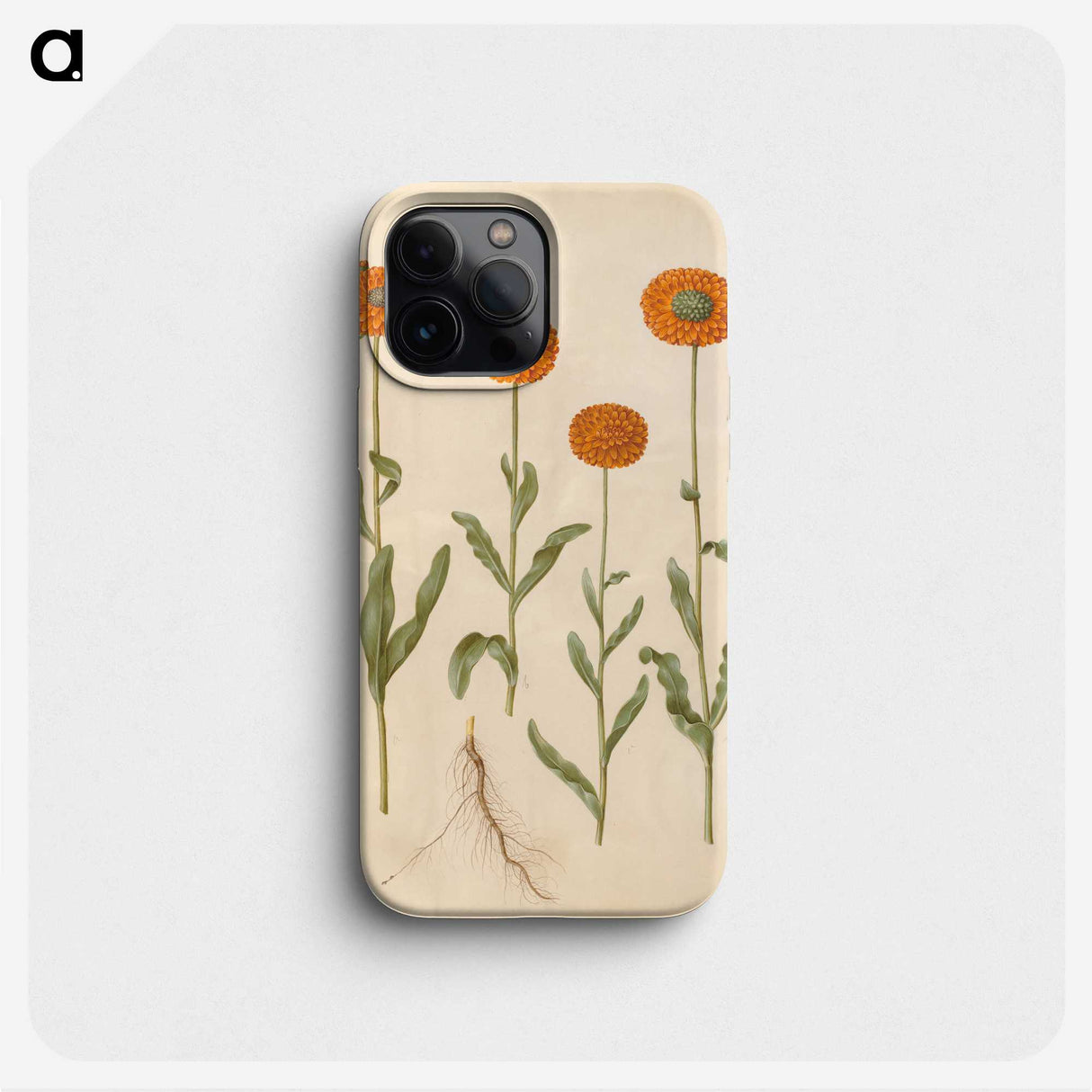 2-47_Maria-Sibylla-Merian_phone