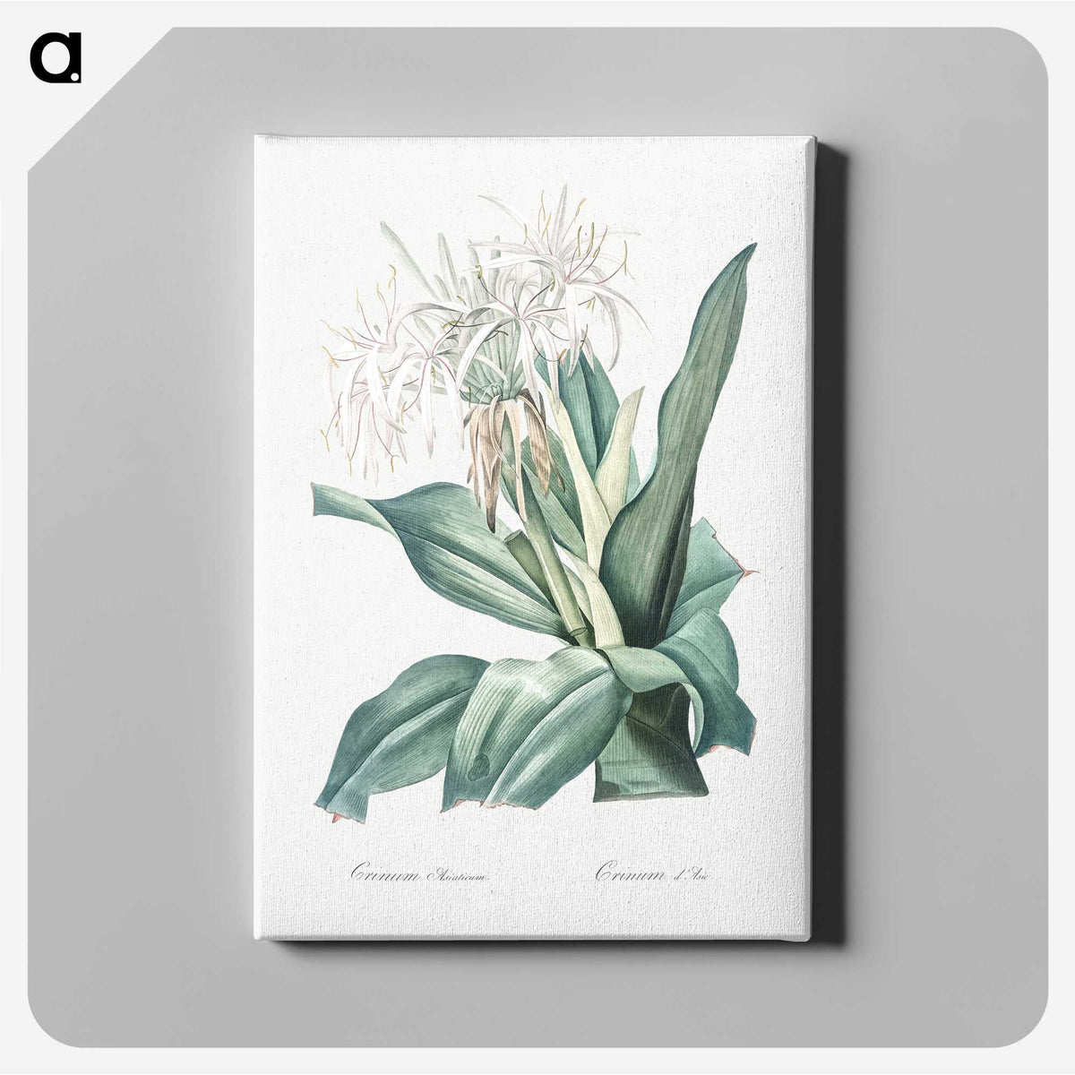 2-47_The-Lilies_canvas