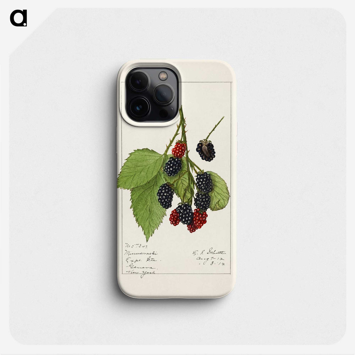 2-47_USDA-Watercolor-Fruit-Painting-Collection_phone