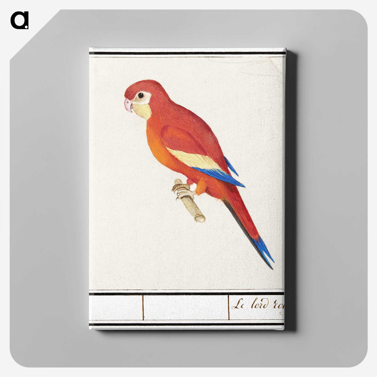 2-48_Anselmus-Boetius-de-Boodt_canvas