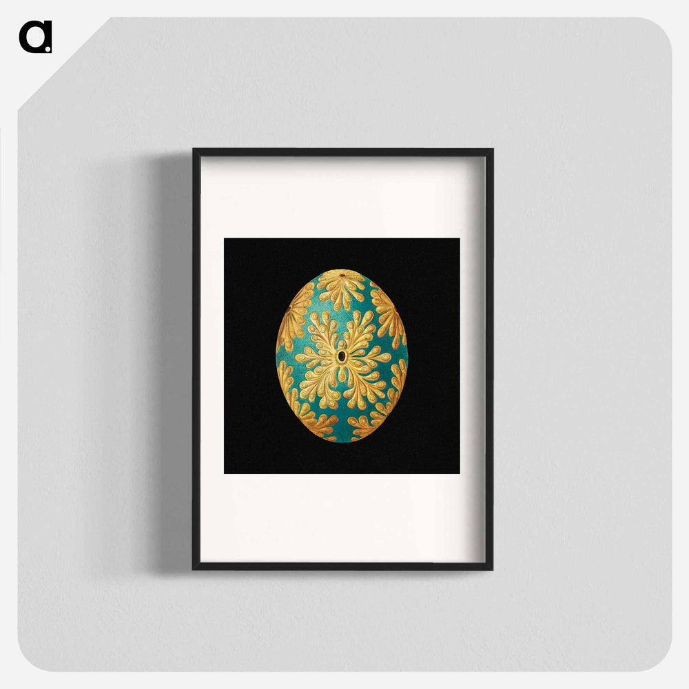 Colorful vintage tunicate marine life illustration - エルンスト ヘッケル Poster.