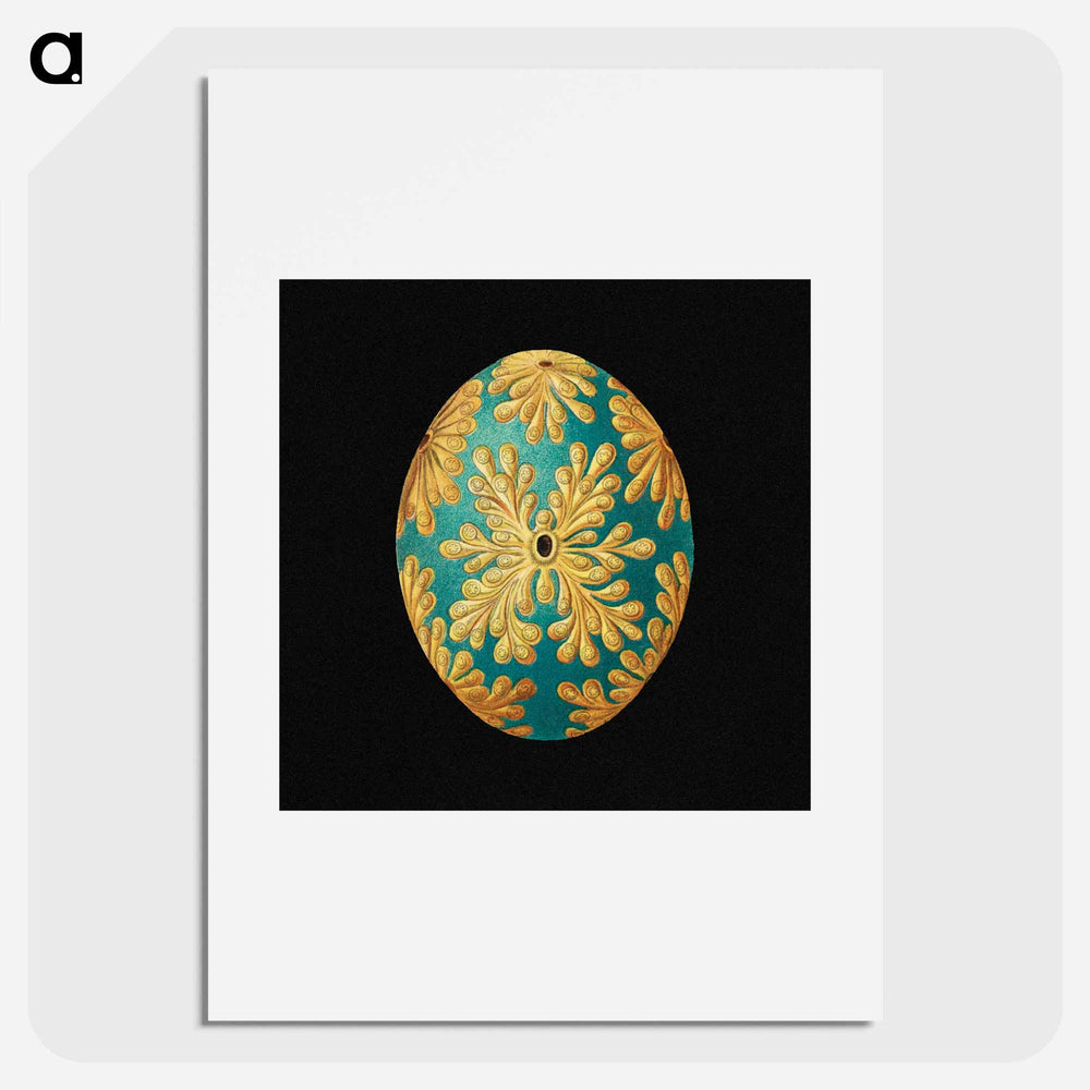Colorful vintage tunicate marine life illustration - エルンスト ヘッケル Poster.
