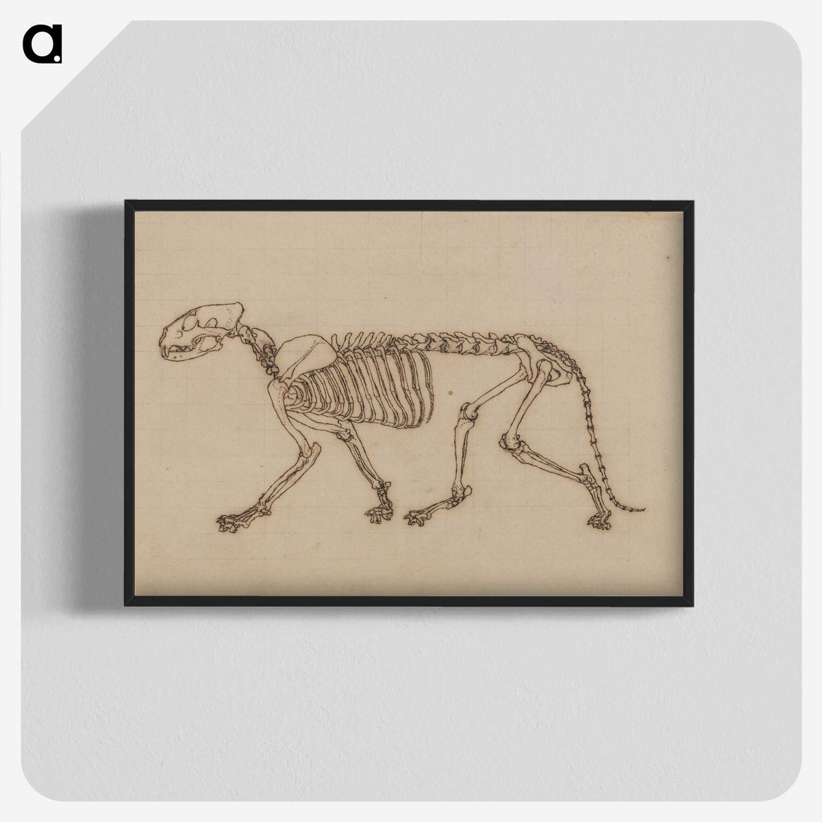 2-48_George-Stubbs_blk-crop
