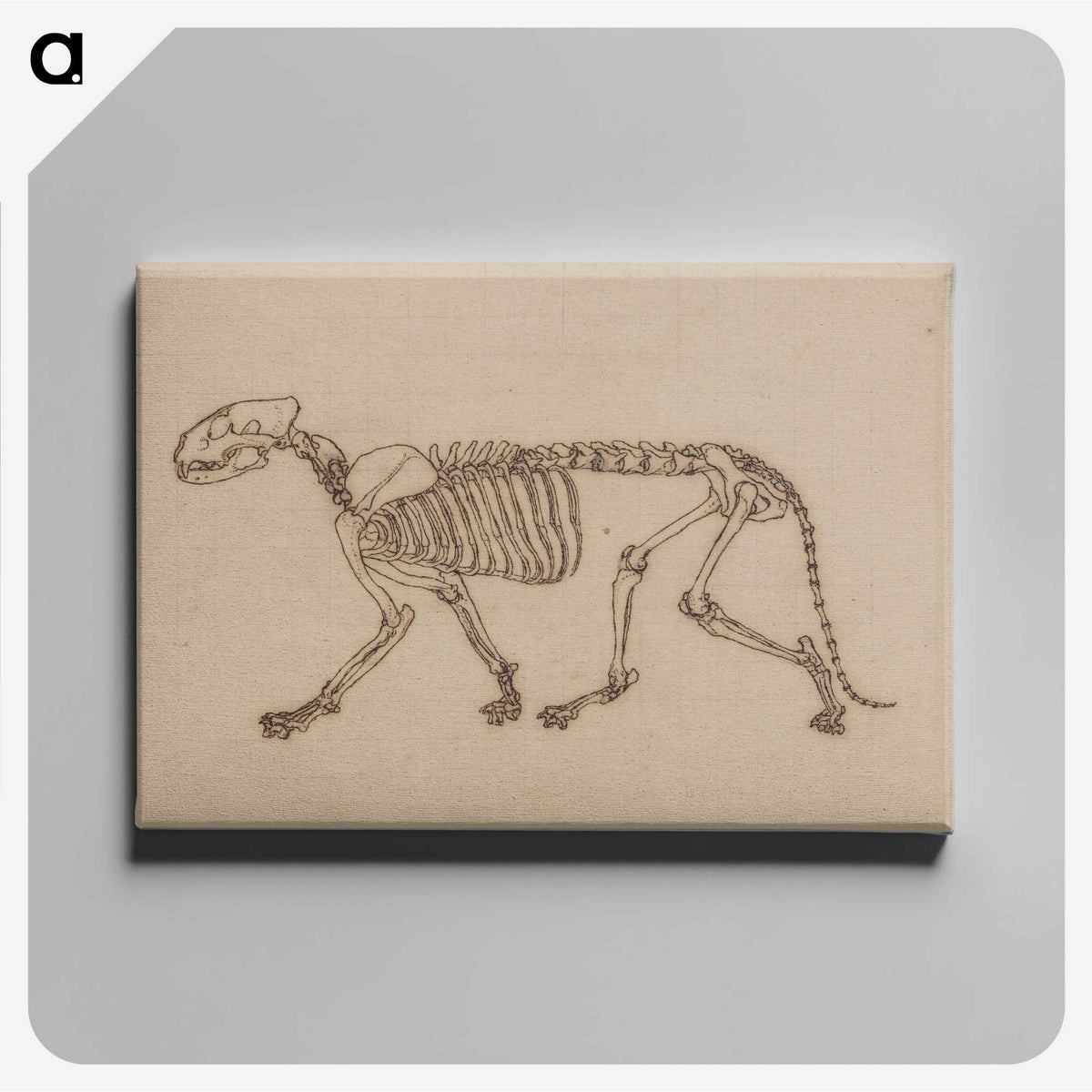 2-48_George-Stubbs_canvas