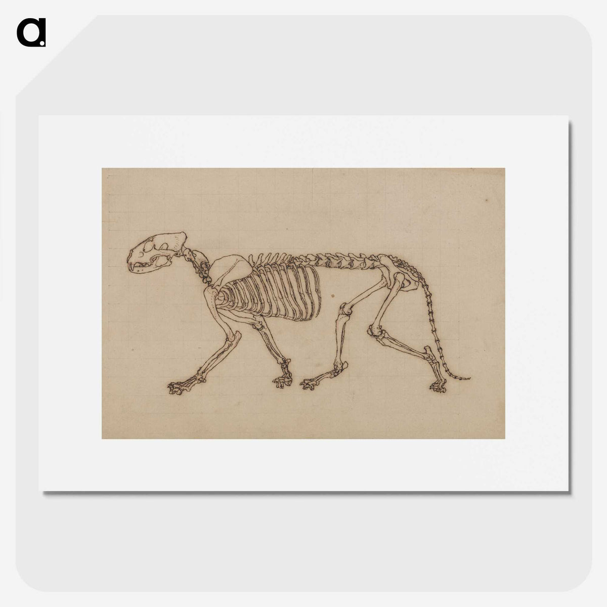 2-48_George-Stubbs_picture