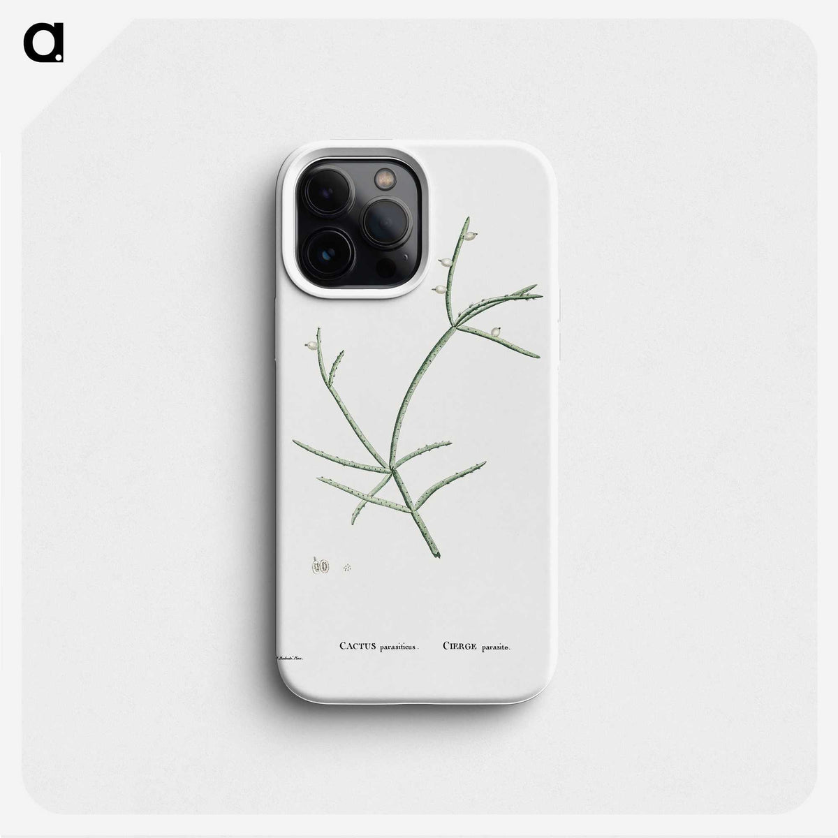 2-48_Histoire-des-Plantes-Grasses_phone