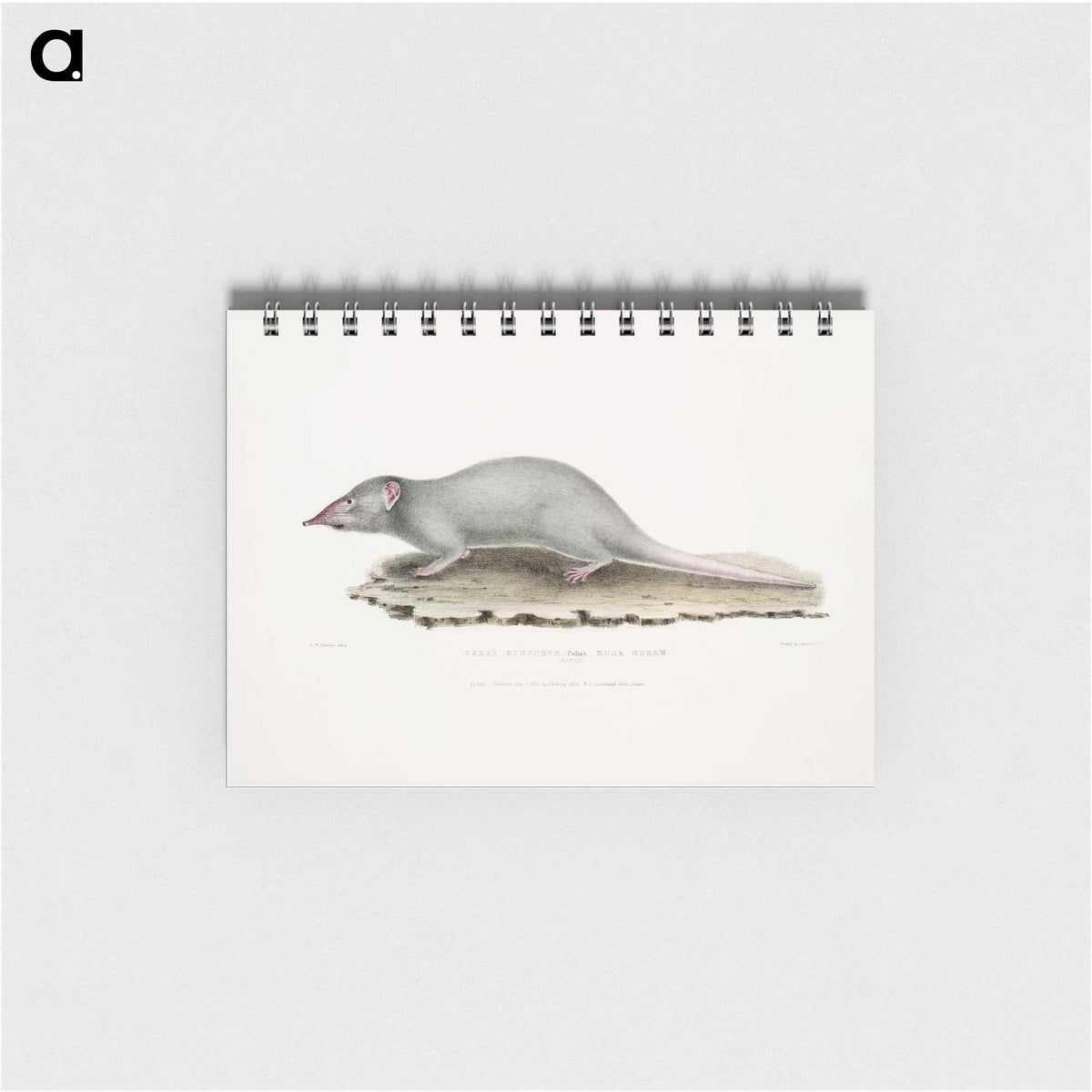 2-48_Indian-Zoology_memo