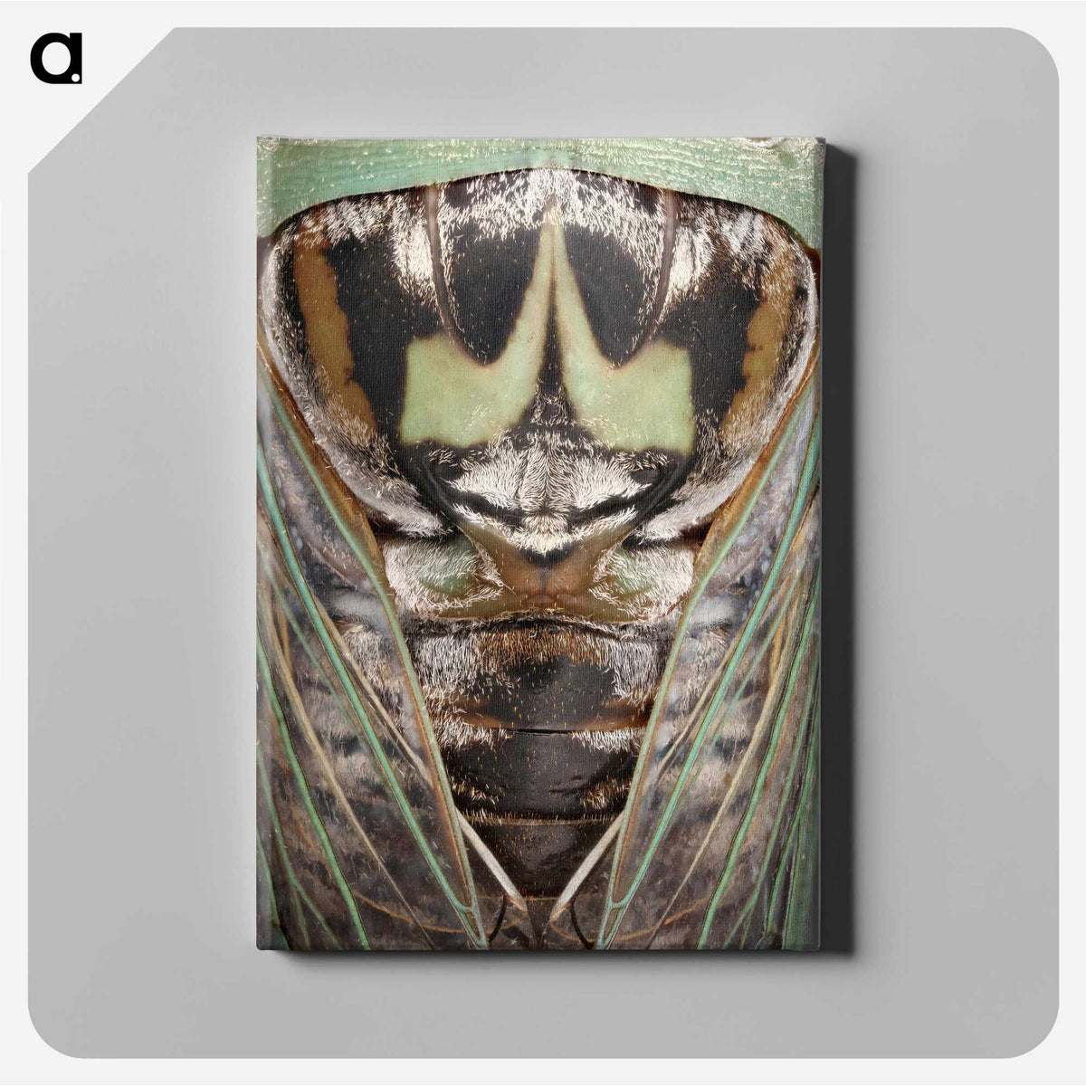 2-48_Insects-Unlocked-Project_canvas