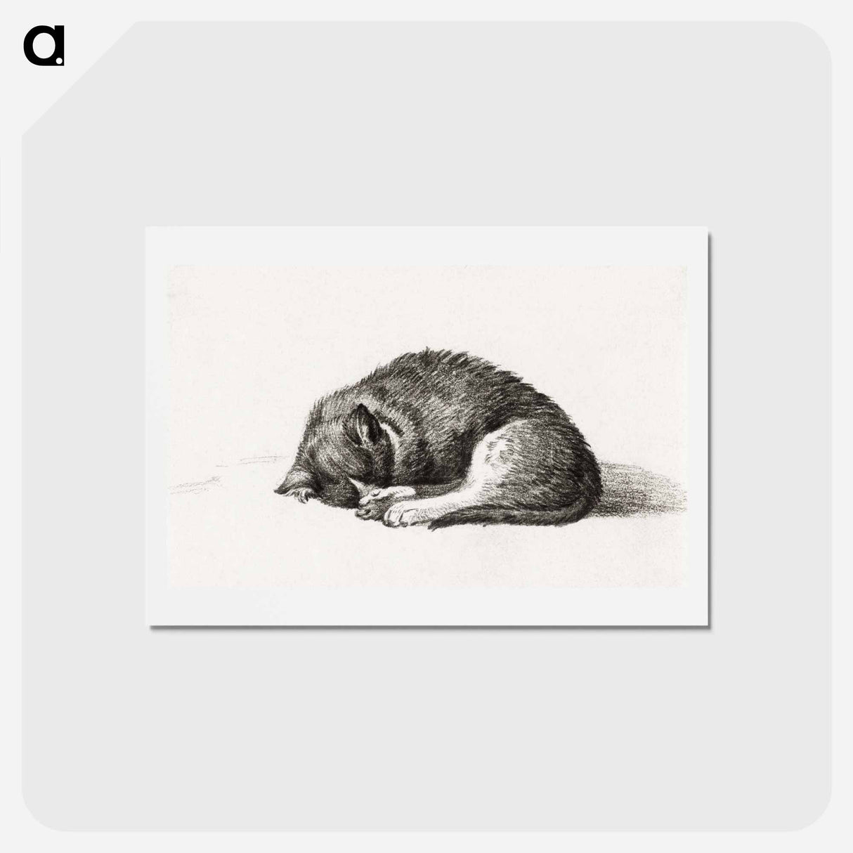 アートポストカード-Rolled up lying sleeping cat - ジャン ベルナール Postcard.