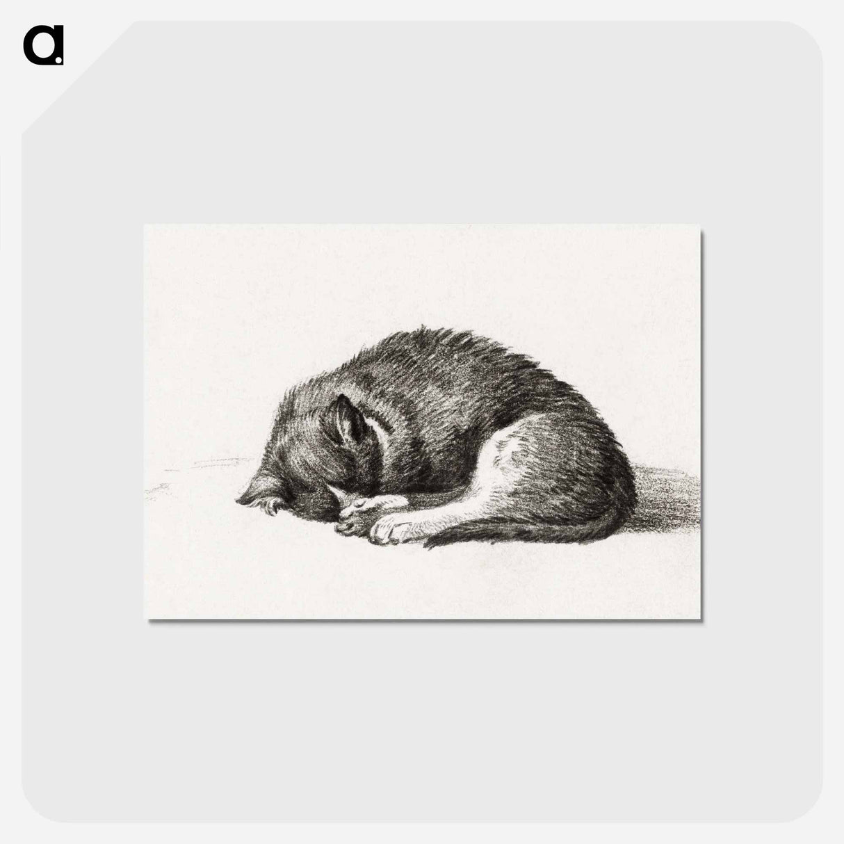アートポストカード-Rolled up lying sleeping cat - ジャン ベルナール Postcard.