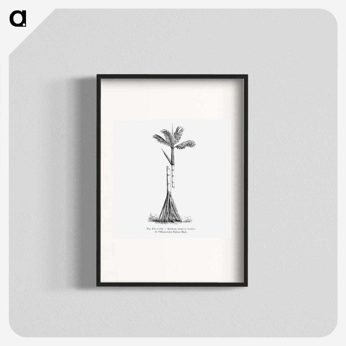 2-48_Les-Palmiers-Histoire-Iconographique_blk
