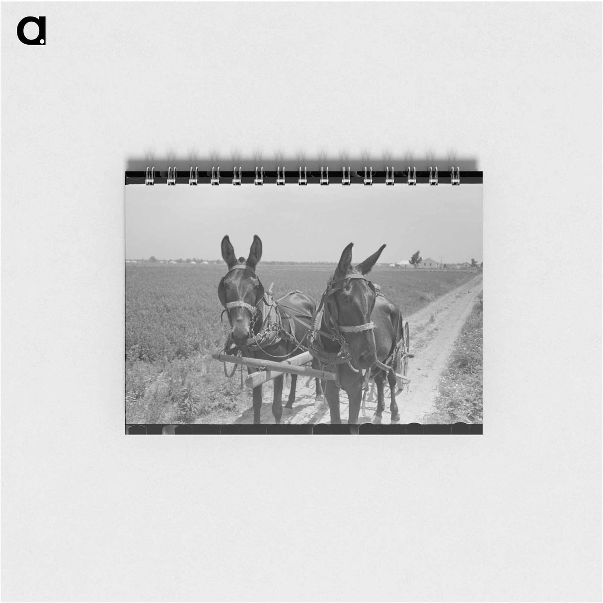 アートメモ帳-Tire Swing, Harlingen
- ラッセル リー Memo.