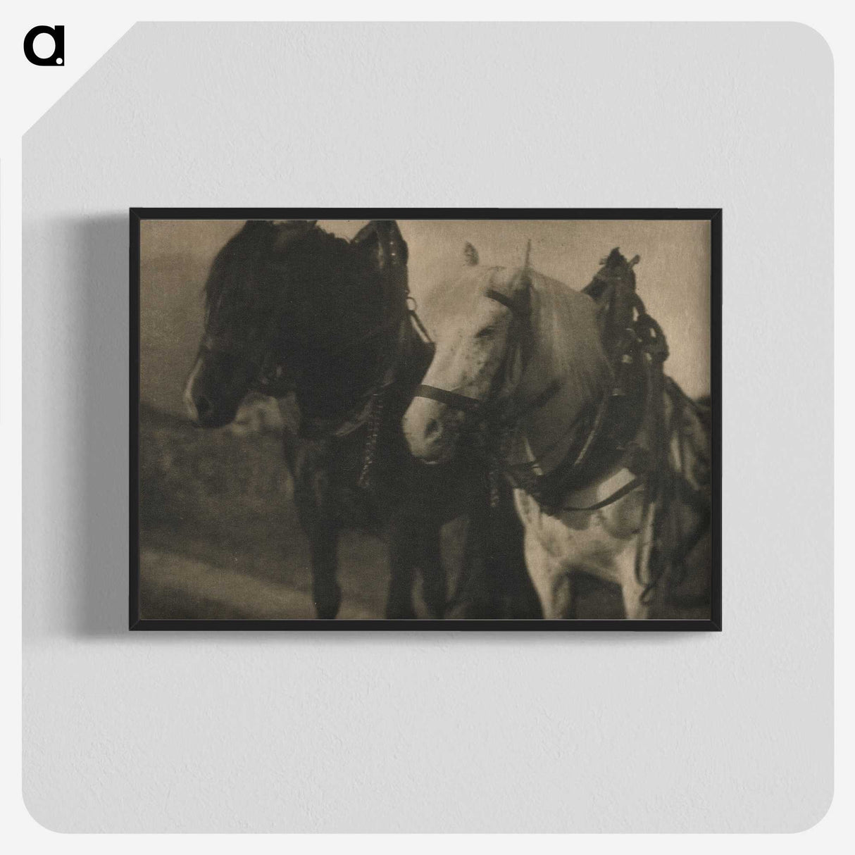 2-49_Alfred-Stieglitz_blk-crop