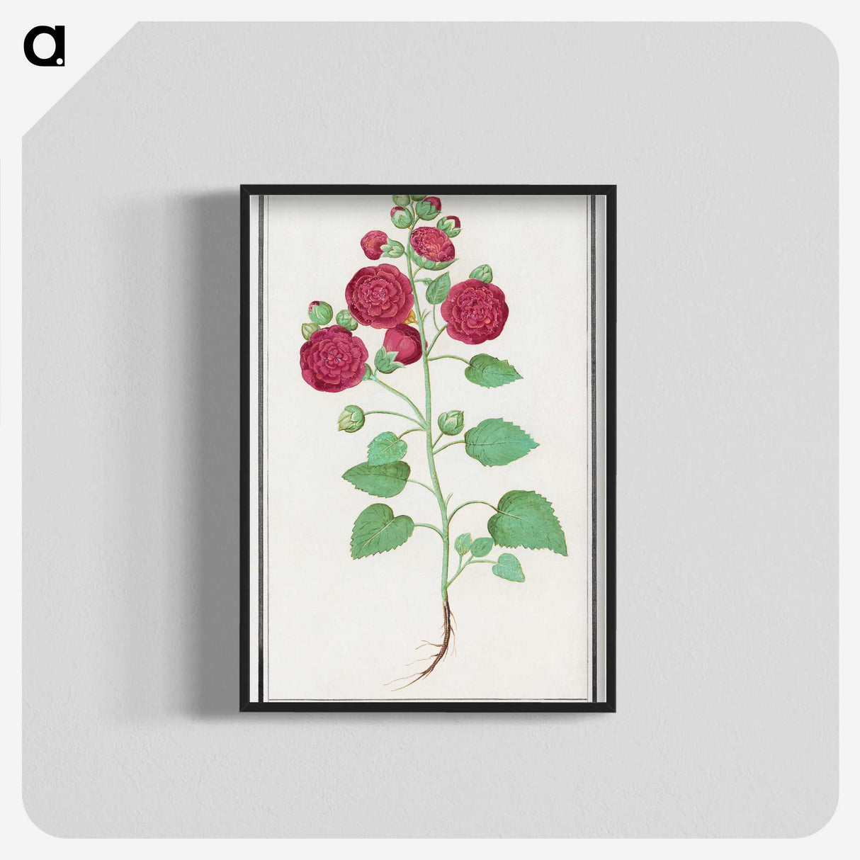 2-49_Anselmus-Boetius-de-Boodt_blk-crop